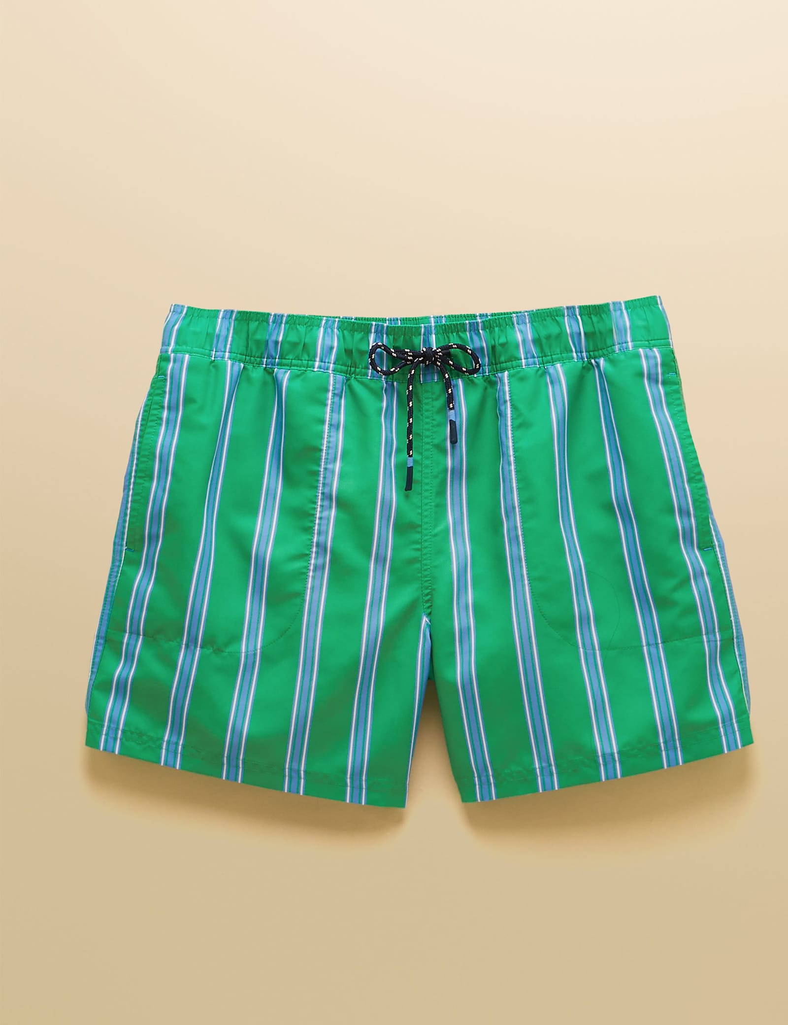 Quick Dry Striped Swim Shorts - image 1