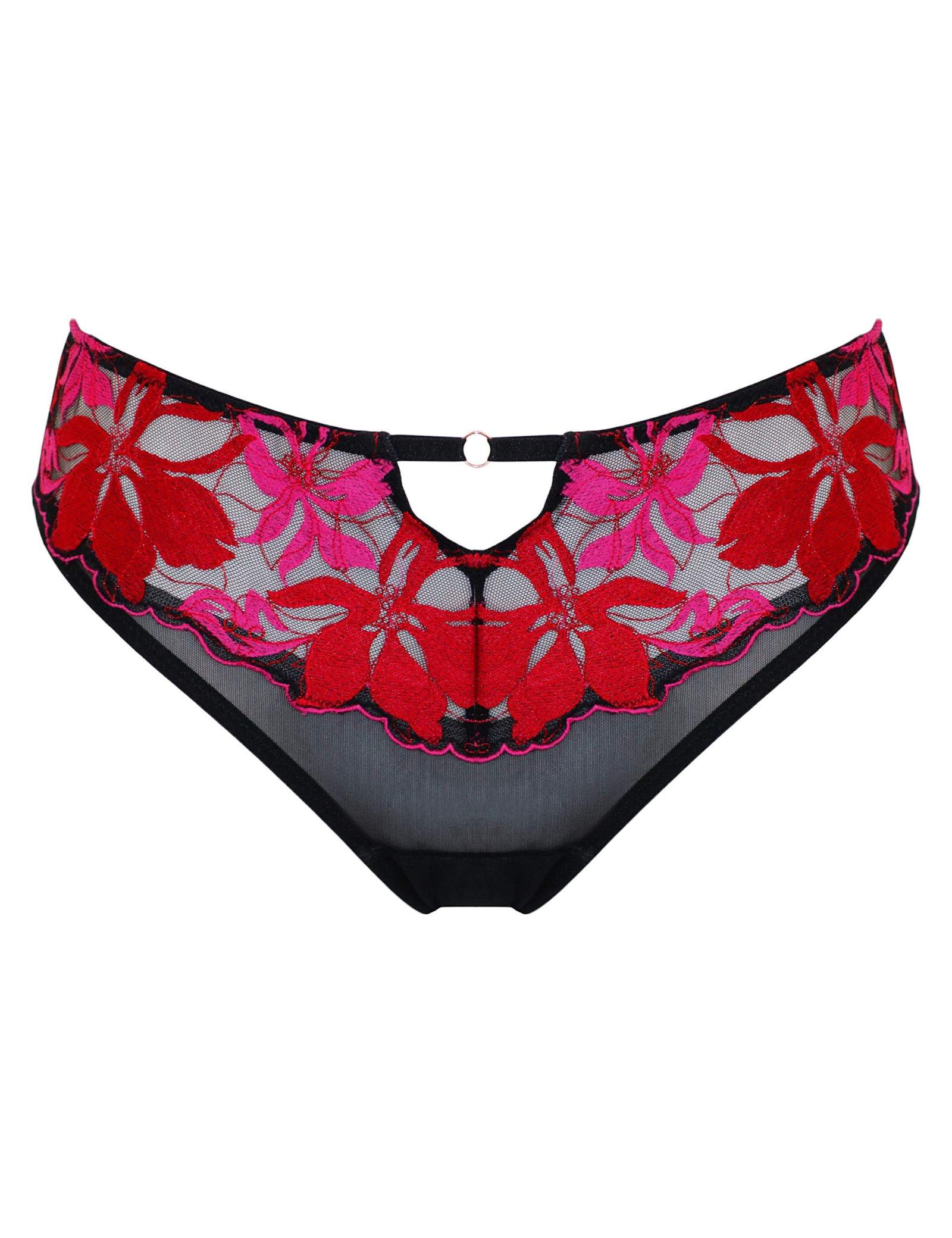 Embroidered Knickers - image 1