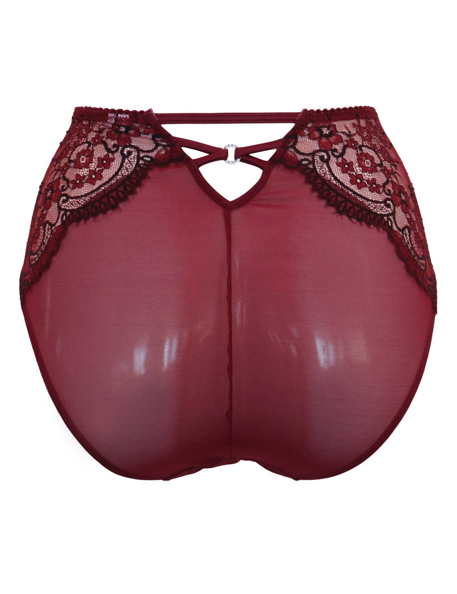 Hollywood High Waisted Full Briefs - image 3