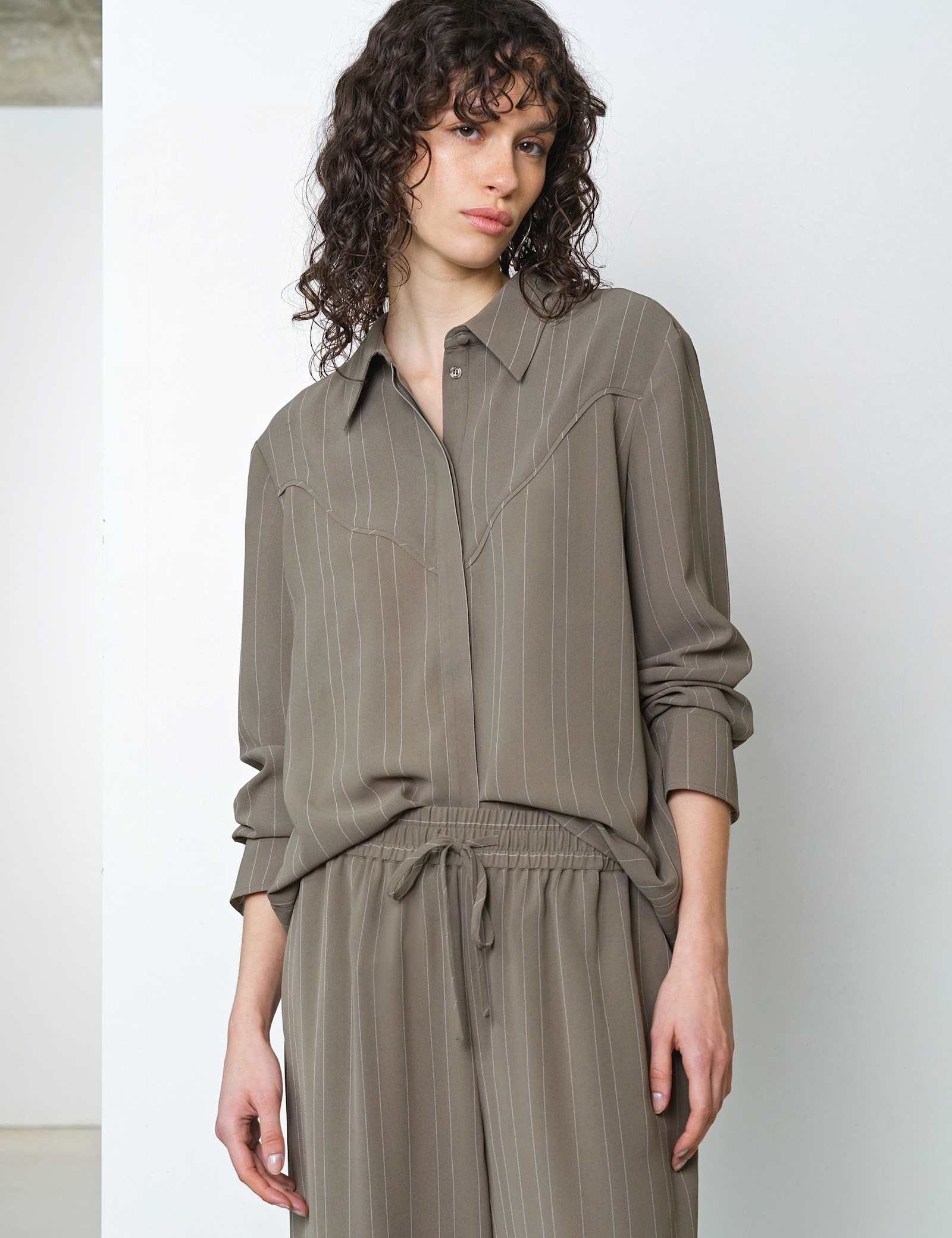 Pinstripe Collared Yoke Detail Shirt - image 2