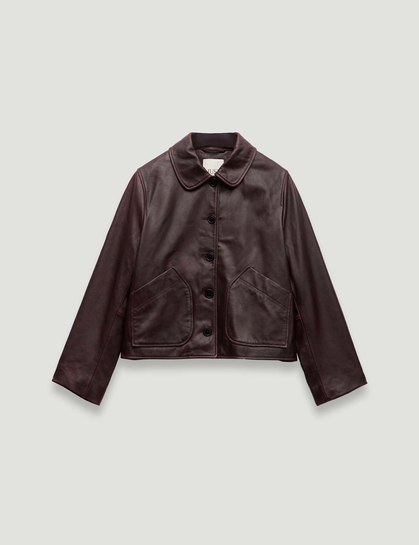 Leather Collared Jacket - image 1