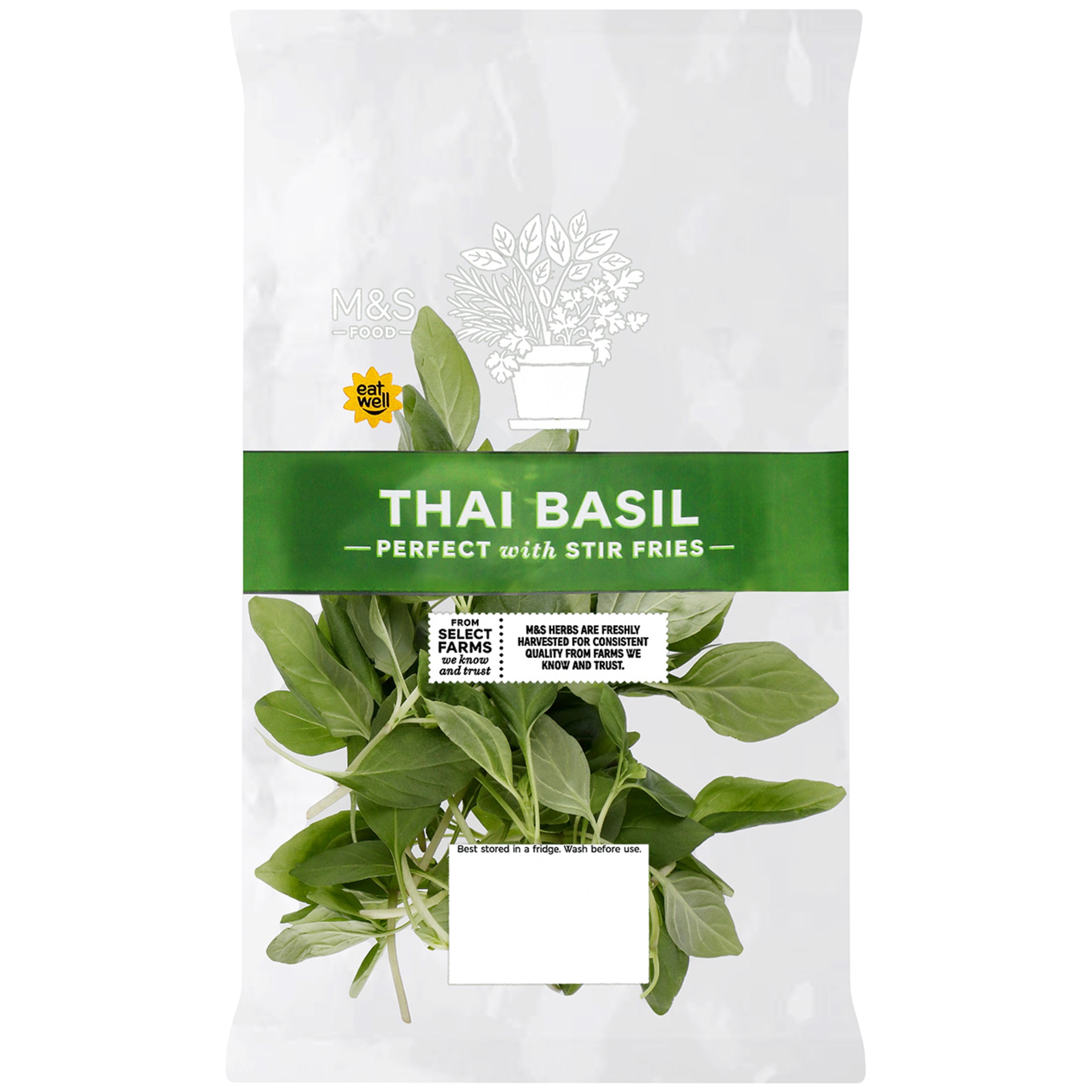 Thai Basil 1 of 1