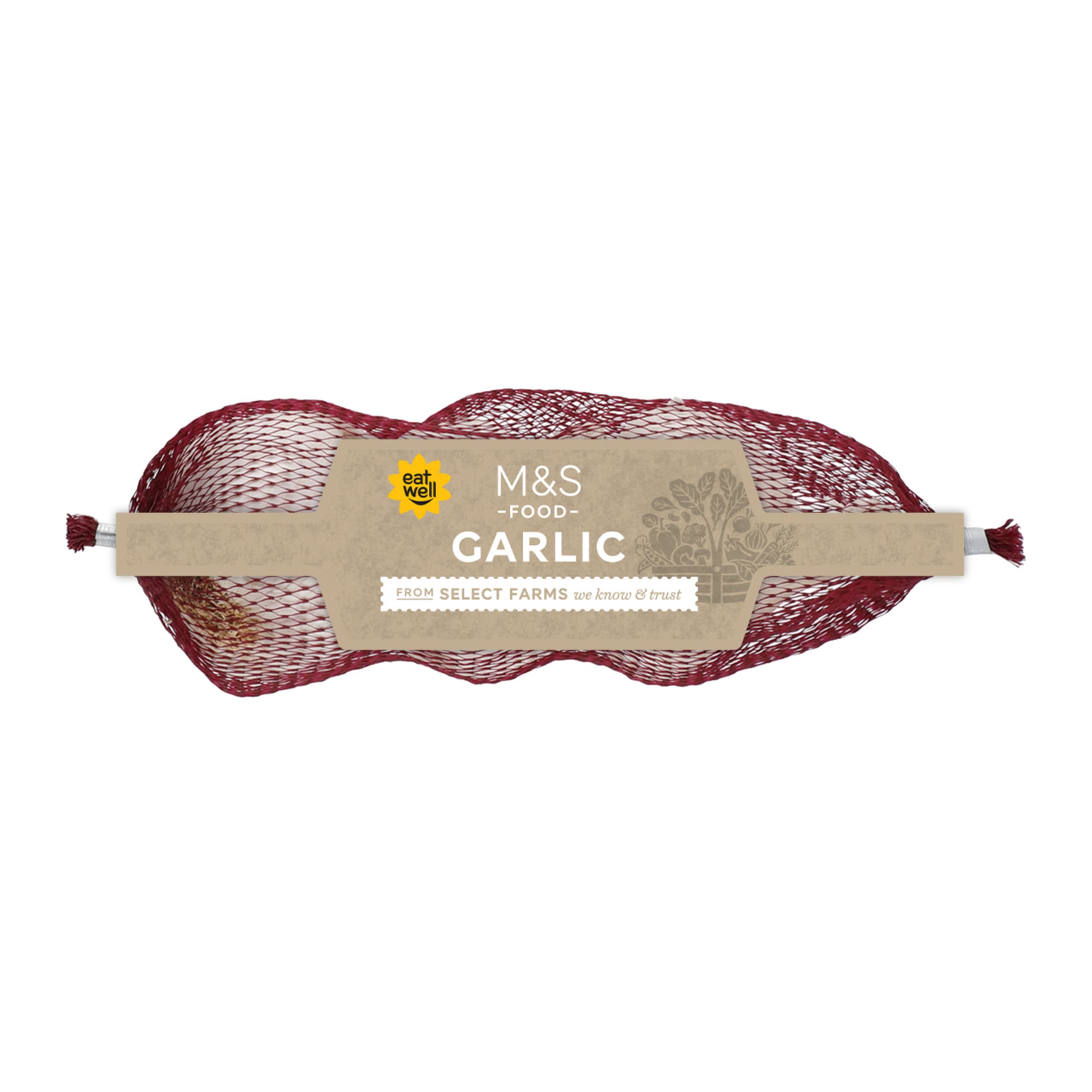 Garlic 1 of 1