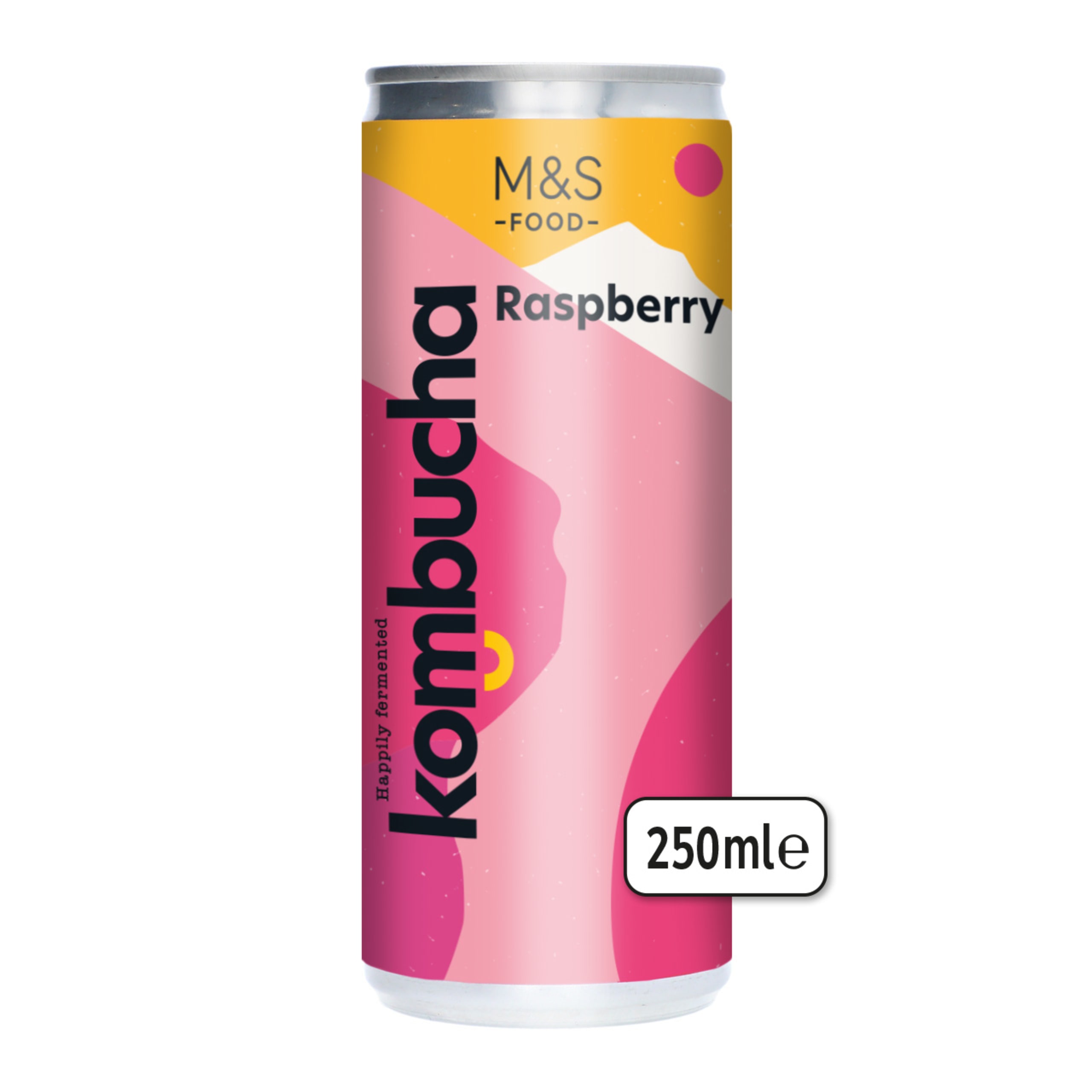 Raspberry Kombucha 1 of 2