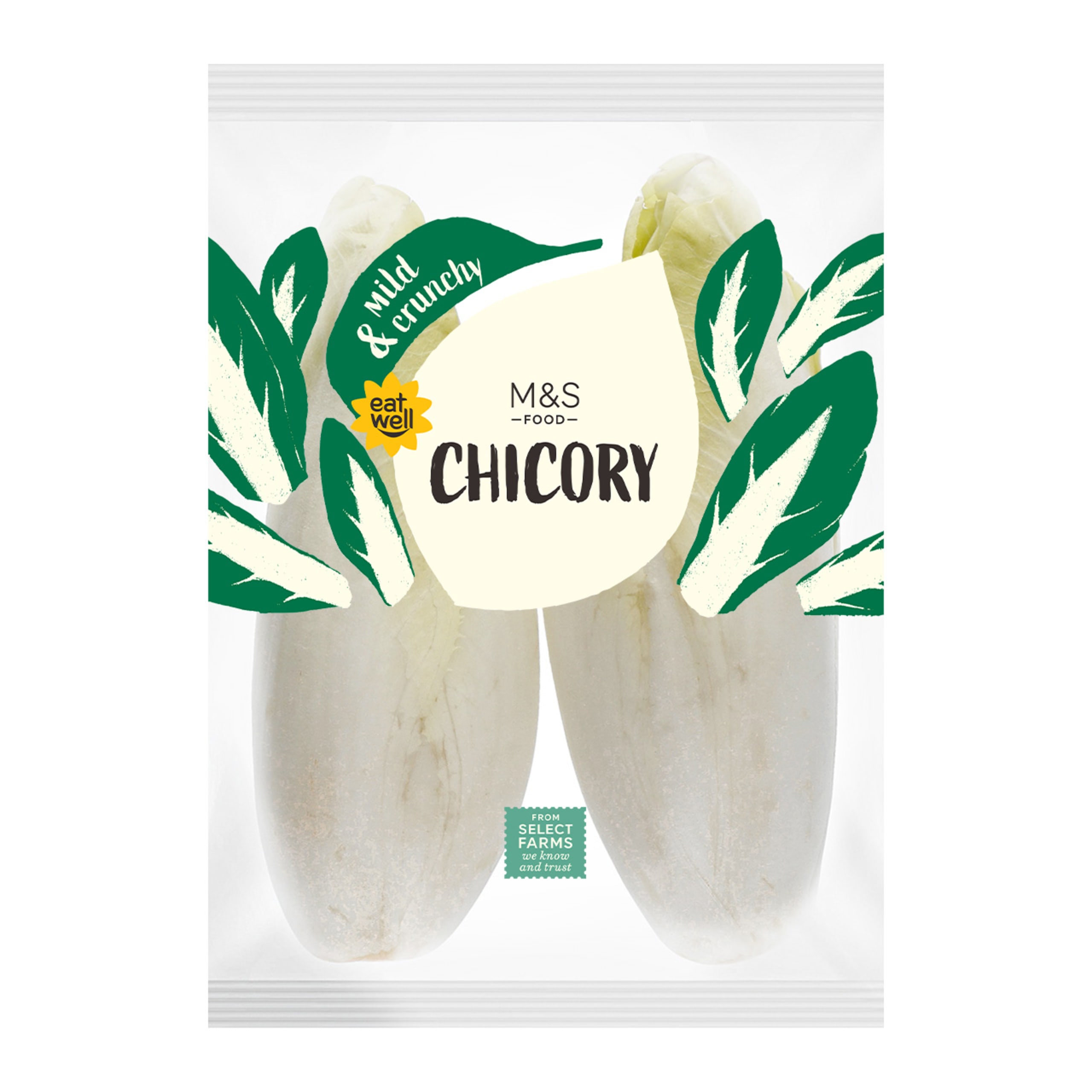 Chicory 1 of 1