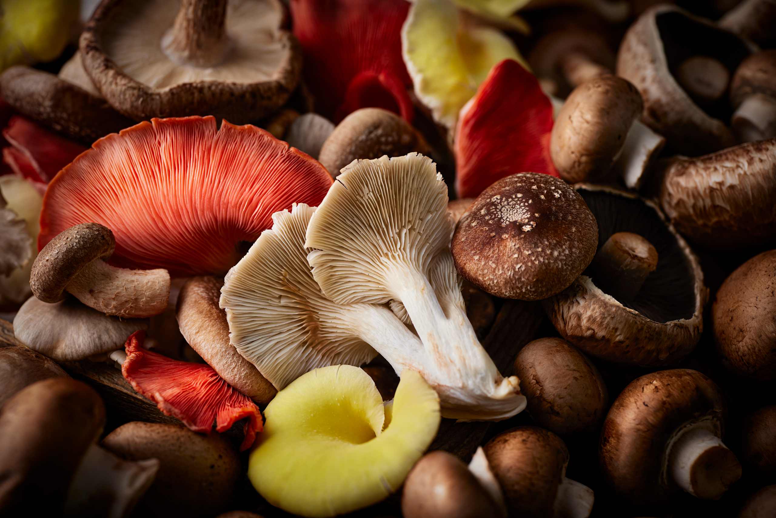 M&S Collection Mixed Exotic Mushrooms 4 of 4