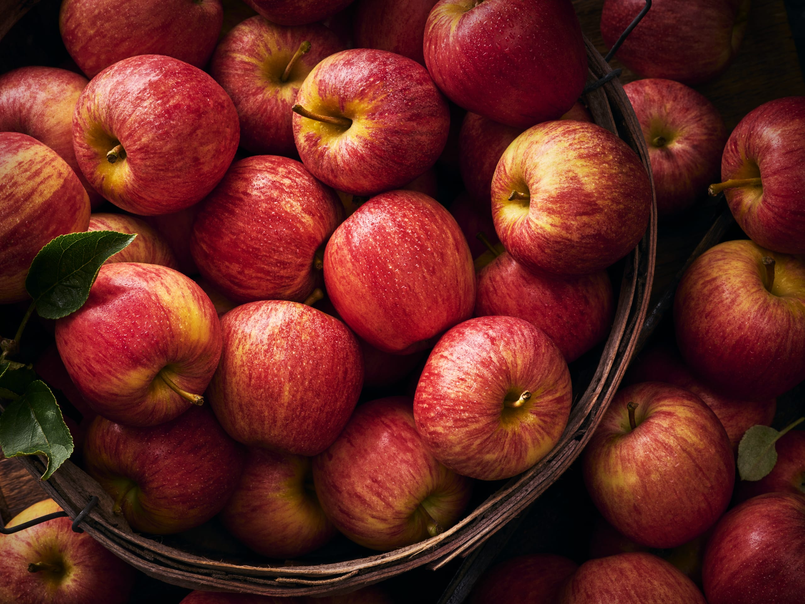 Royal Gala Apples 6 of 7