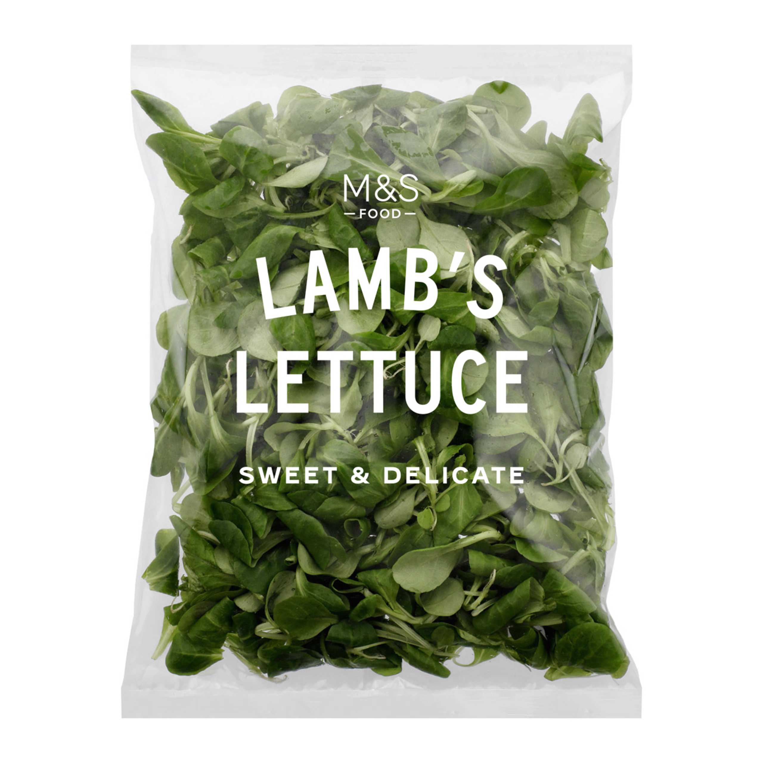 Lamb's Lettuce 1 of 1