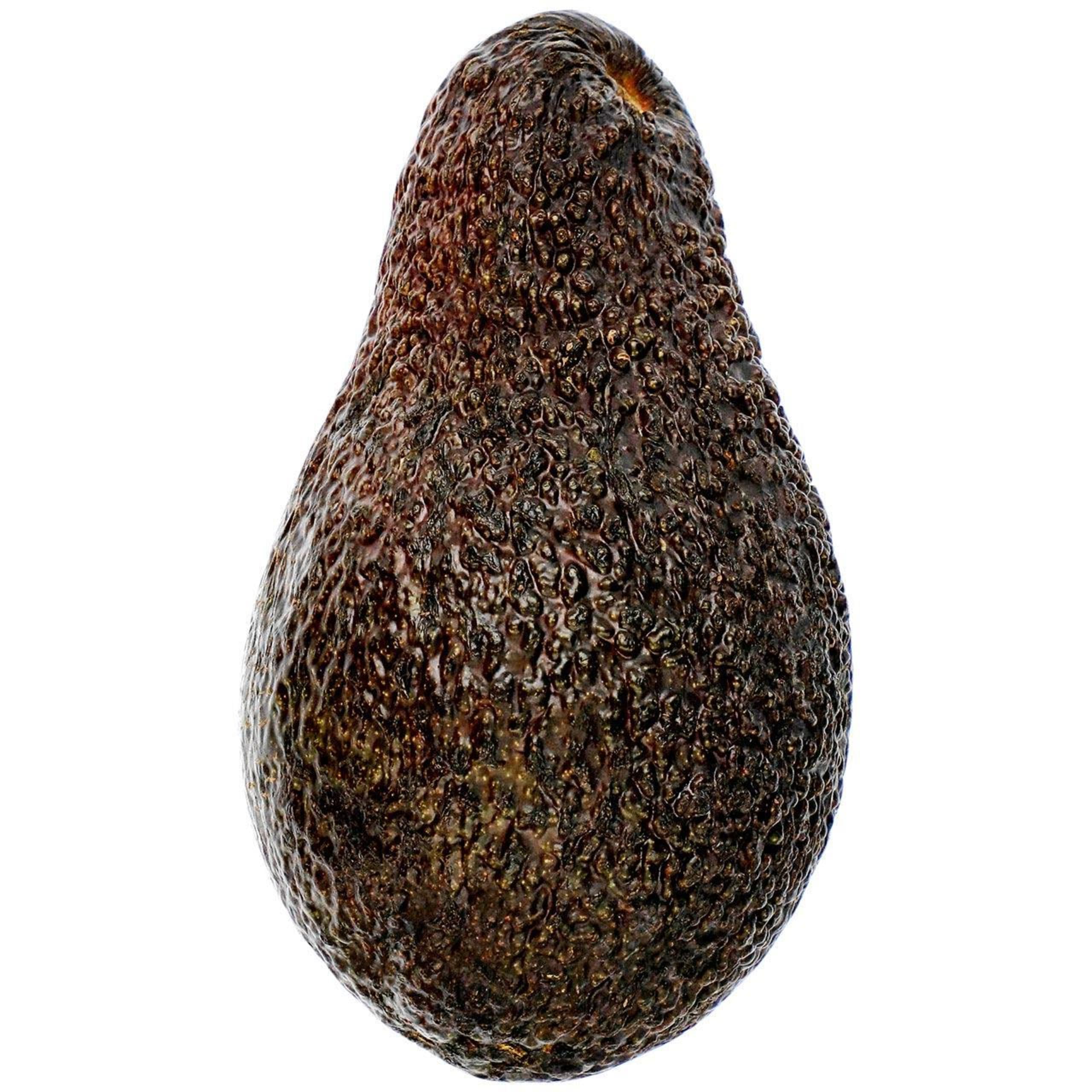 Large Avocado 1 of 2