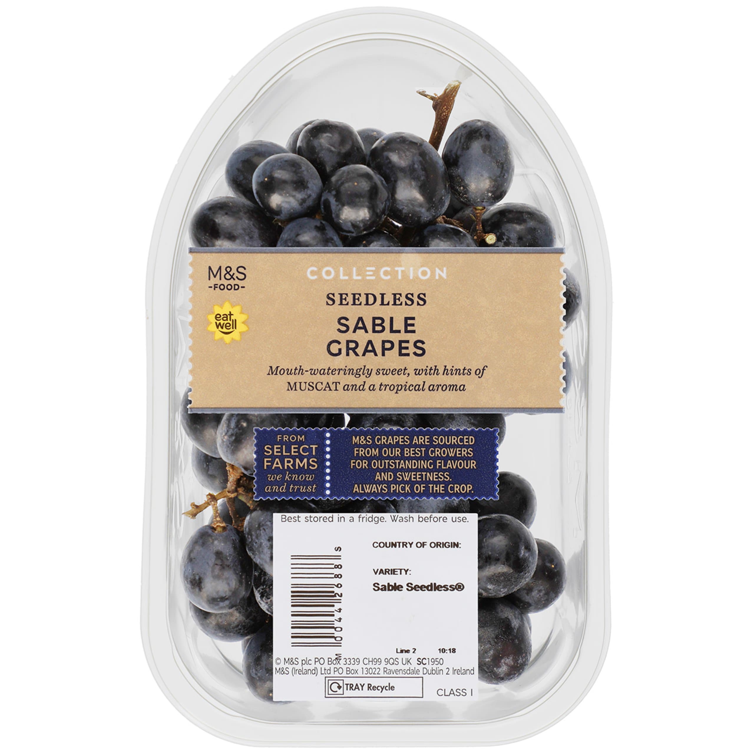 Collection Seedless Sable Grapes 1 of 5