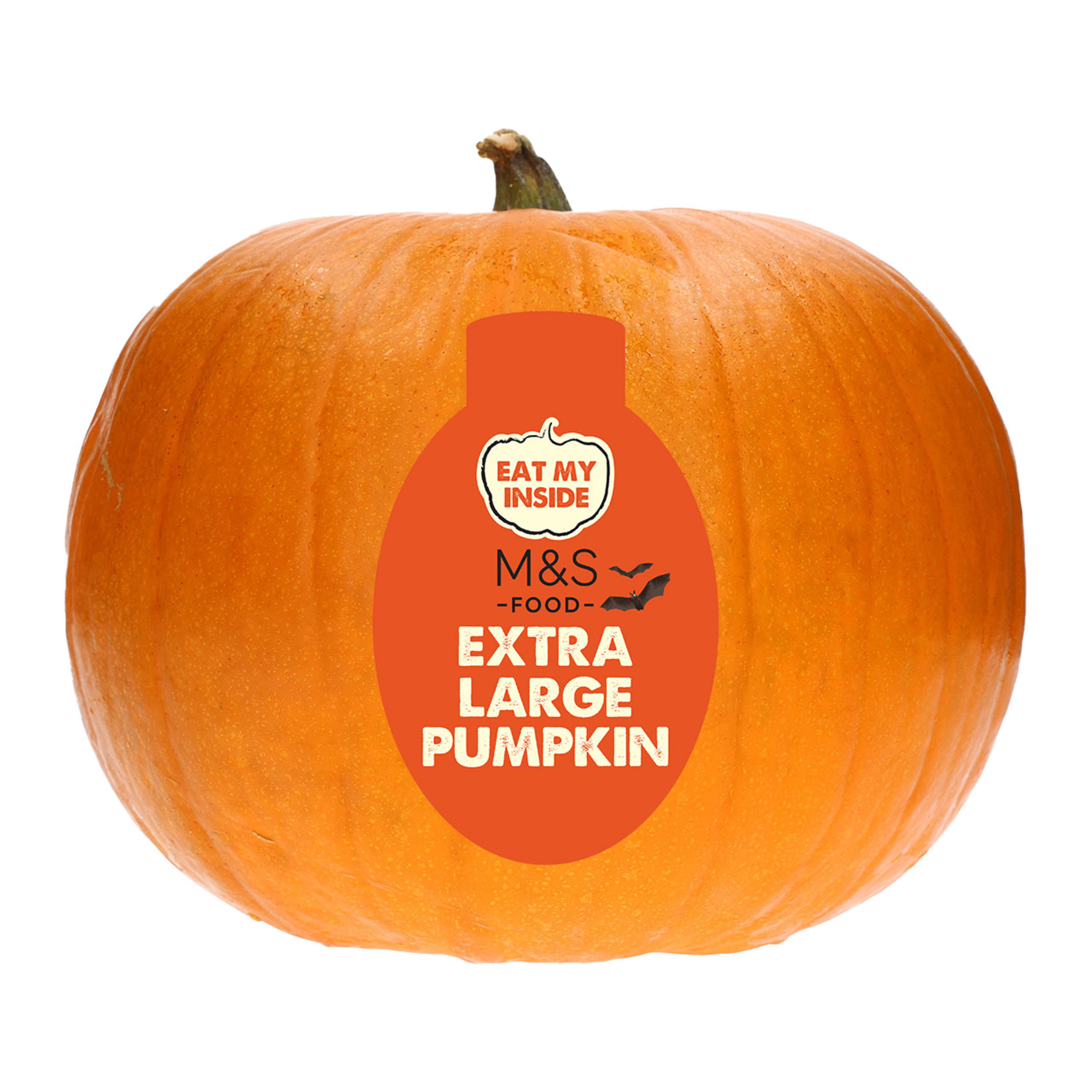 Extra Large Pumpkin 1 of 1