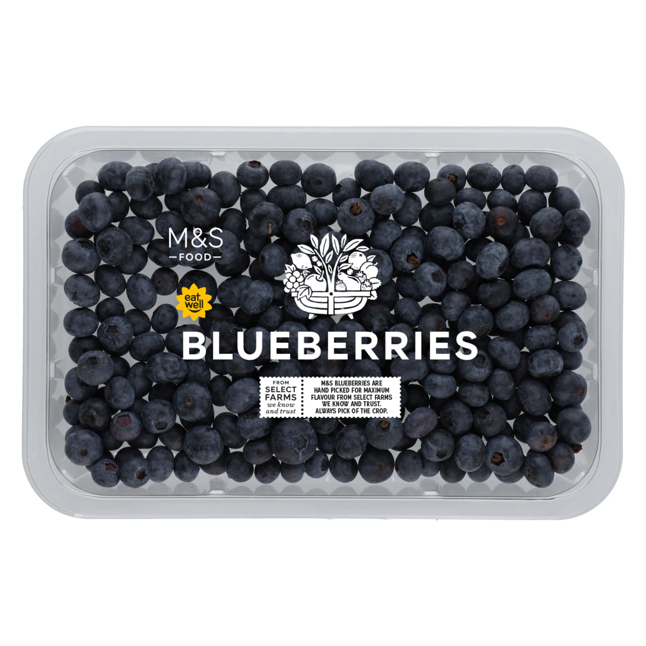 Blueberries 1 of 2