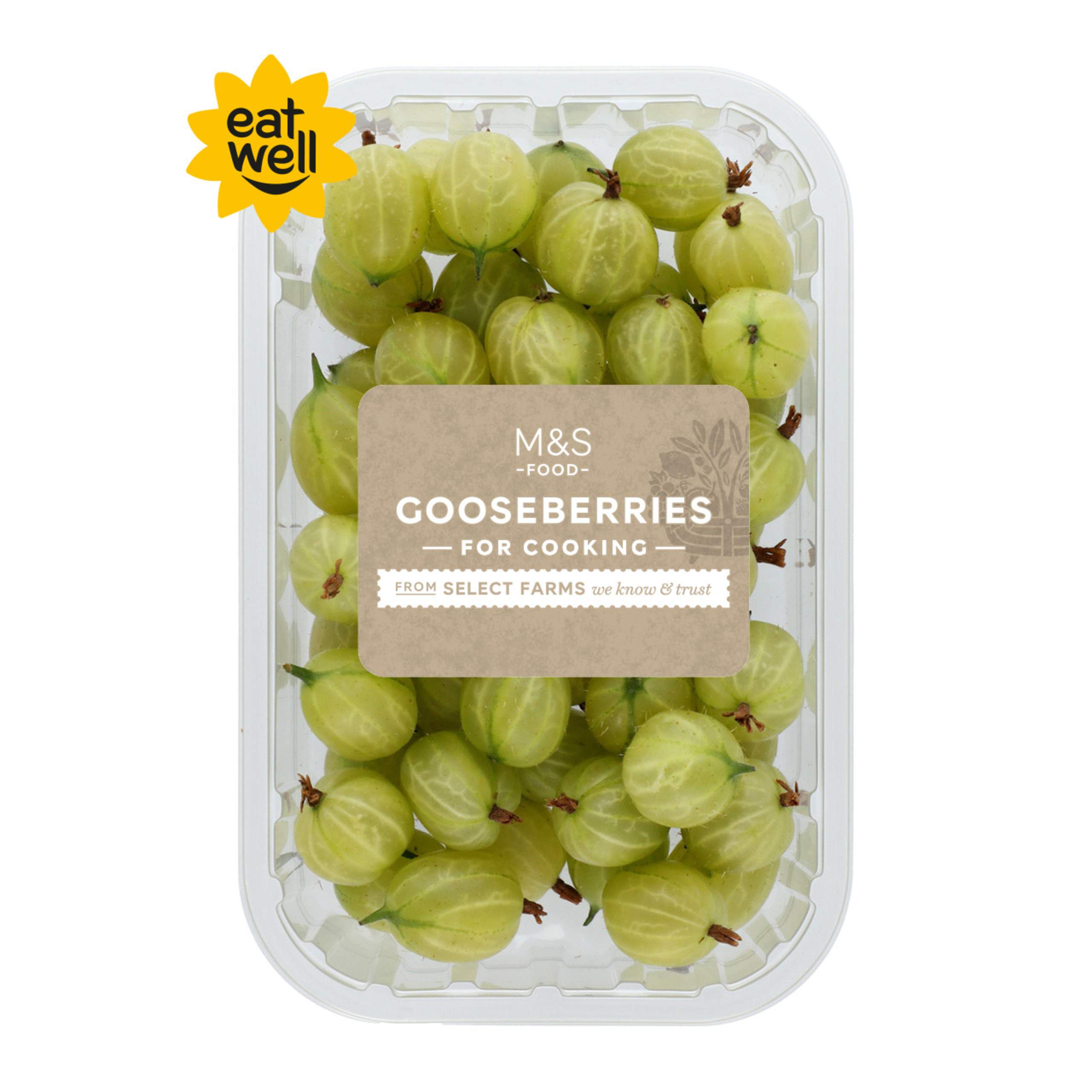 Gooseberries For Cooking 1 of 1