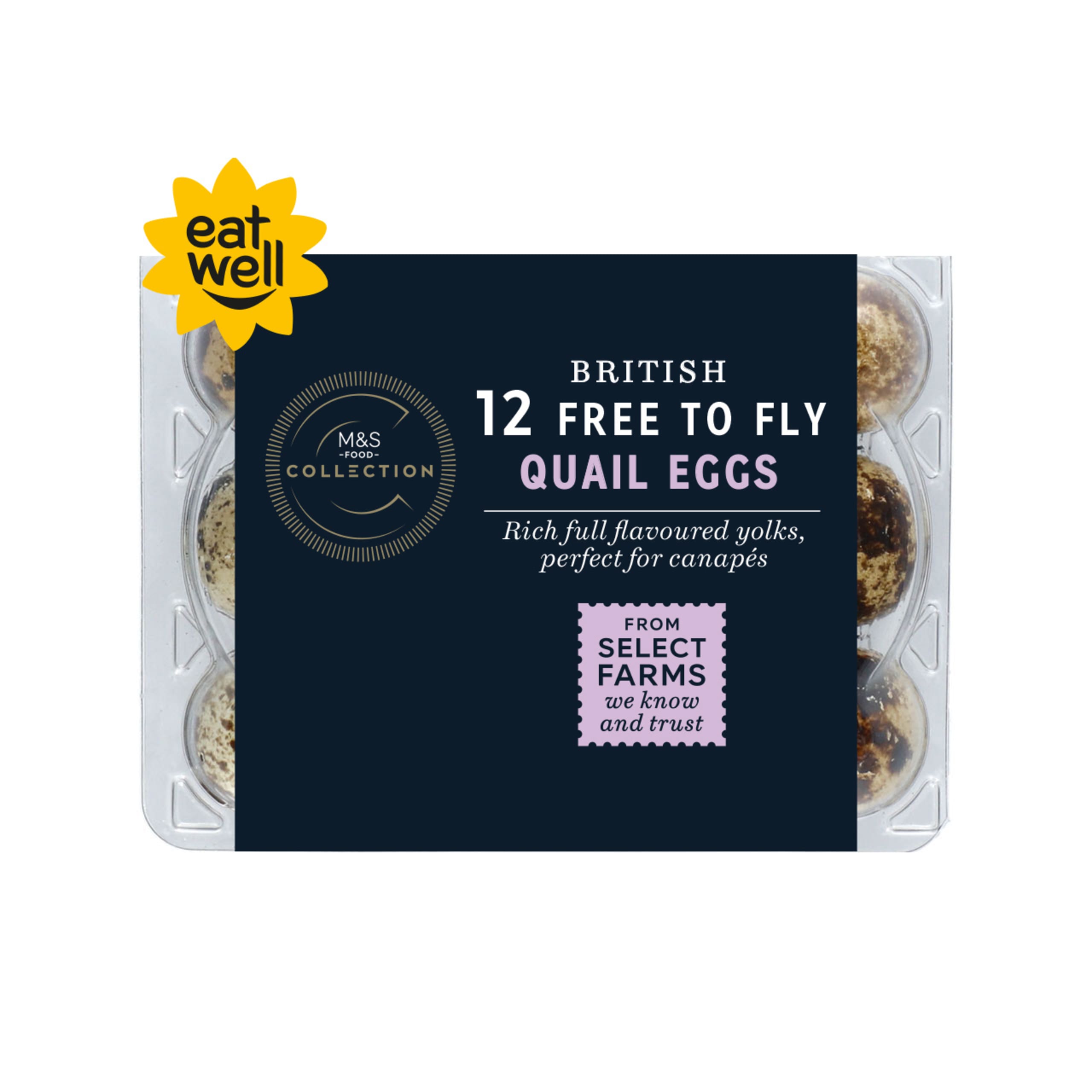 British 12 Free to Fly British Quail Eggs 1 of 1