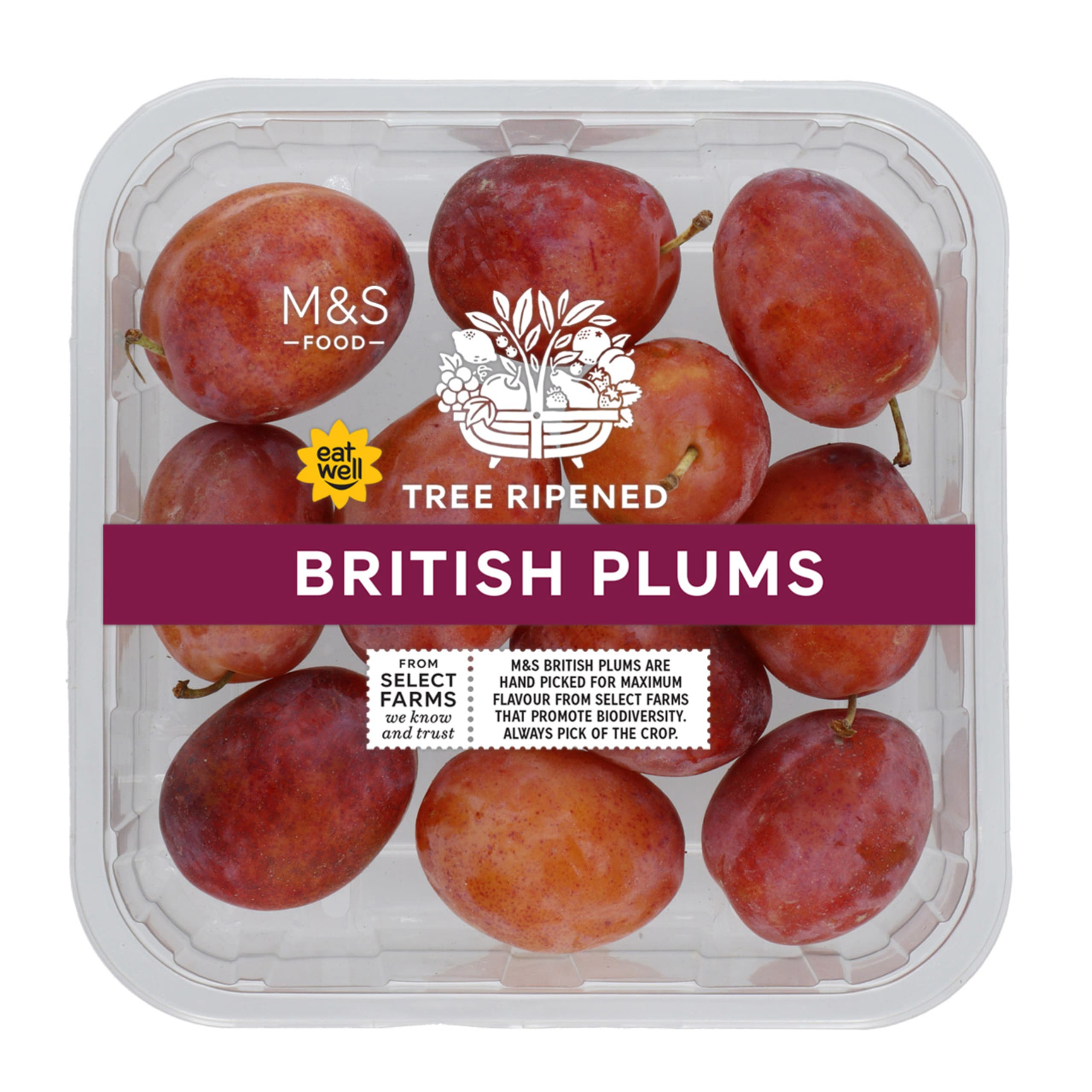 British Plums 1 of 3