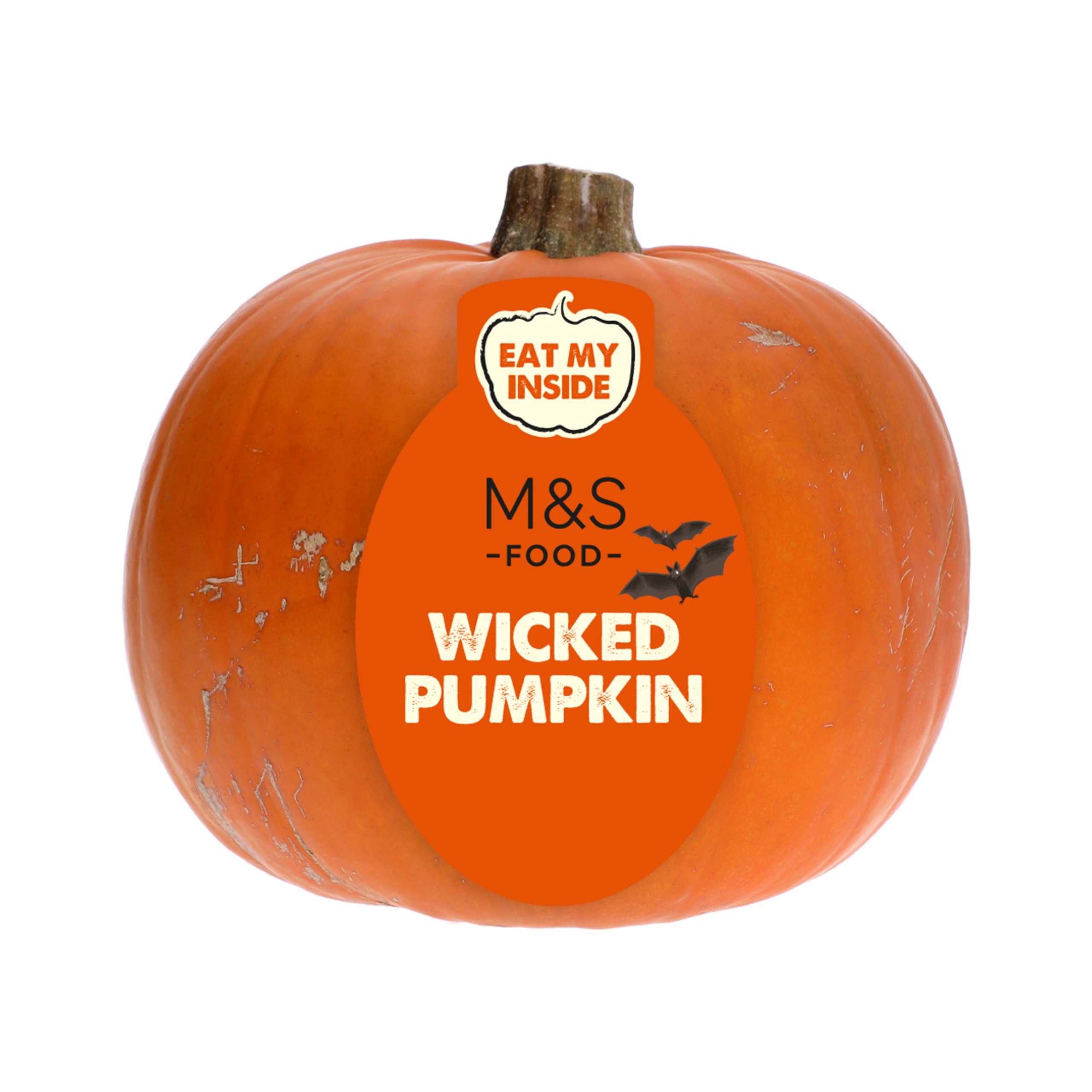 Wicked Medium Pumpkin 1 of 2