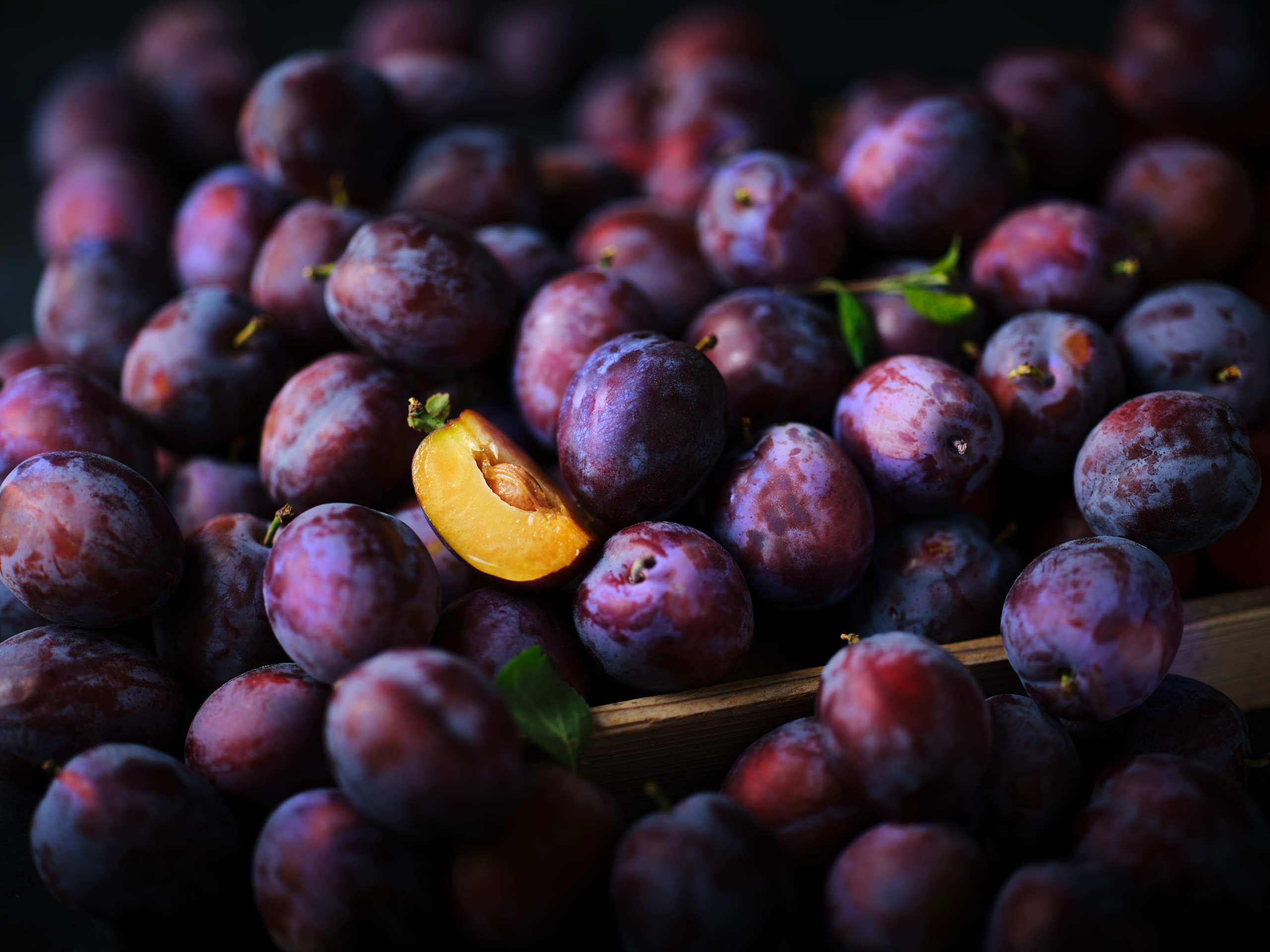British Plums 3 of 3