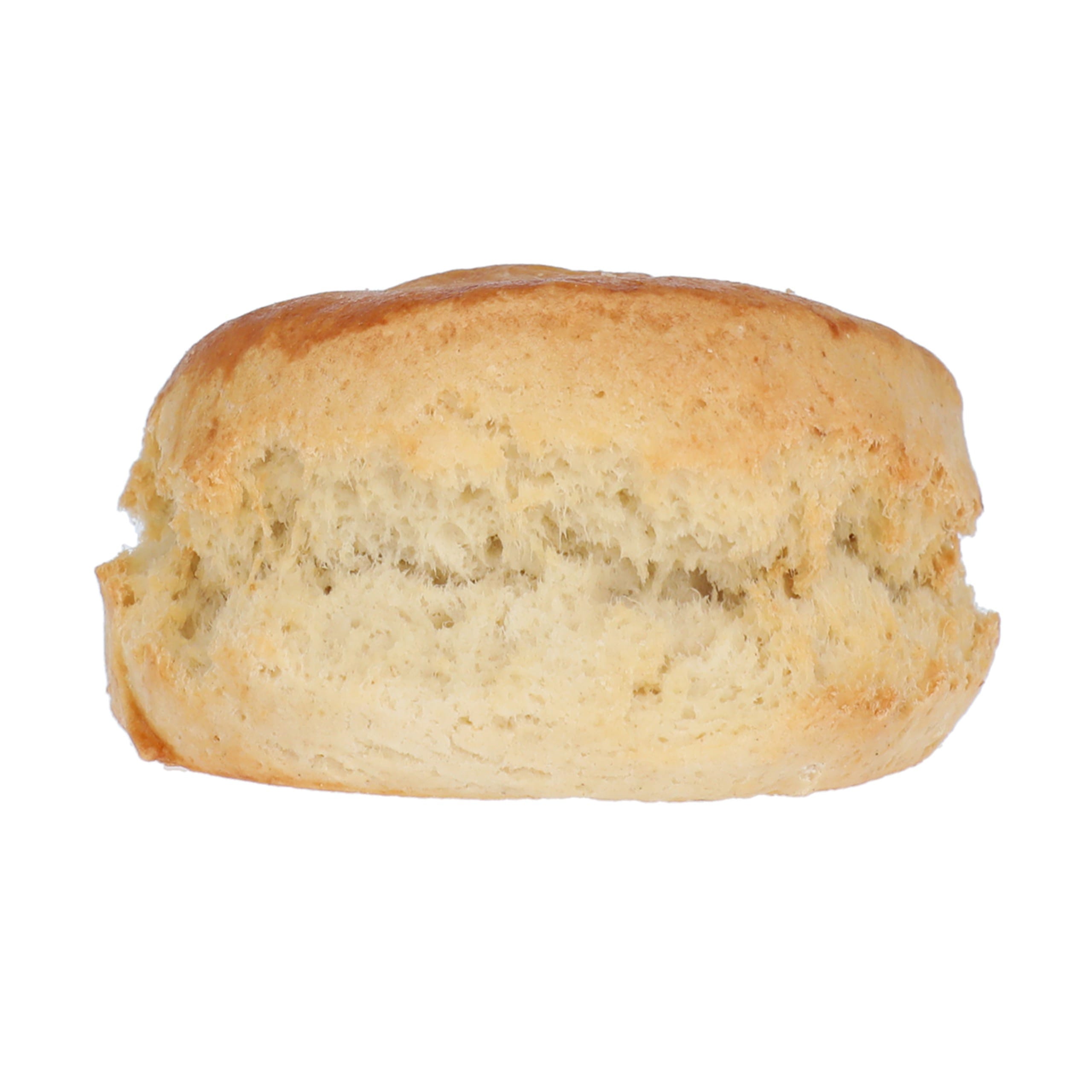 Plain Scone 1 of 1