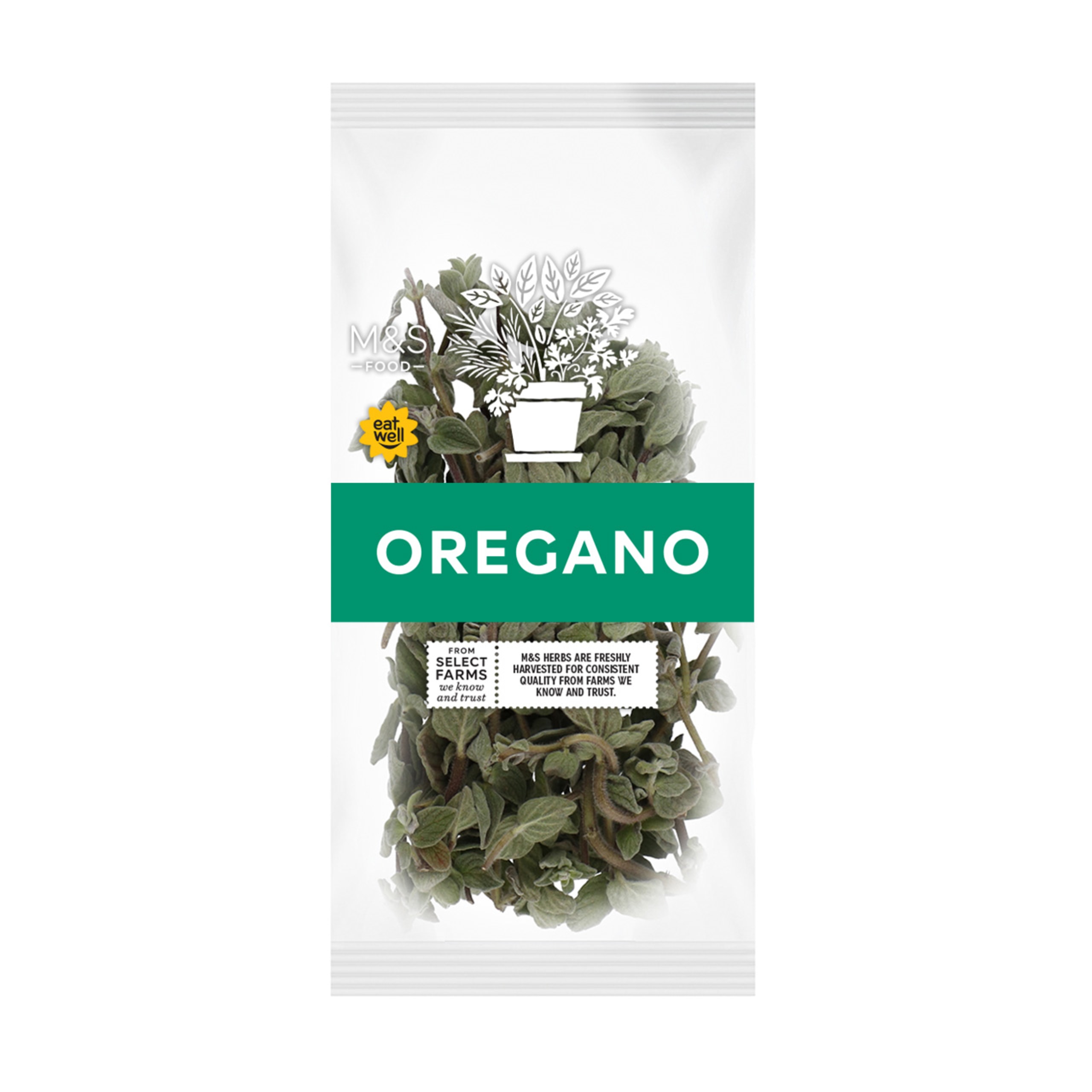 Oregano 1 of 1