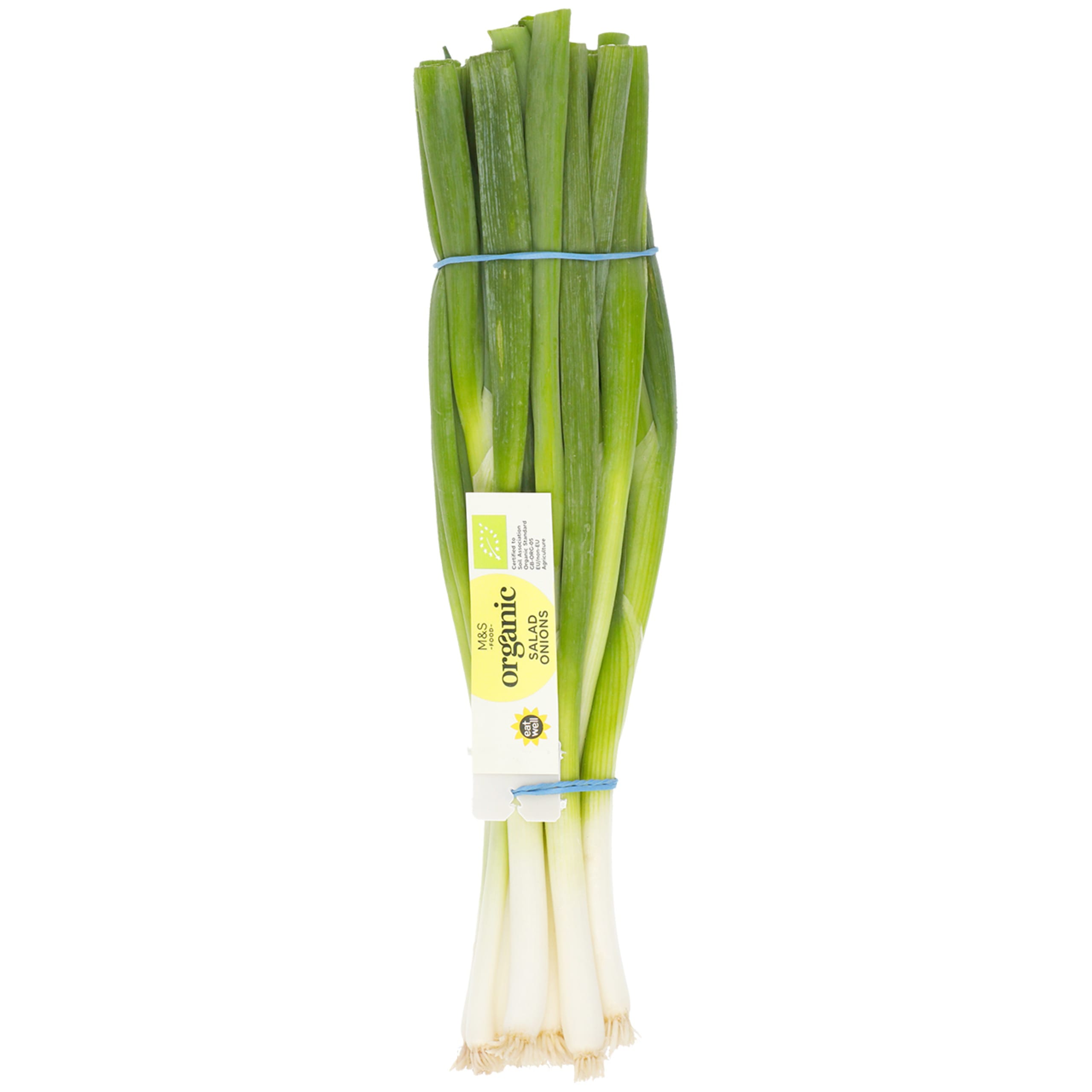 Organic Spring Onions 1 of 1