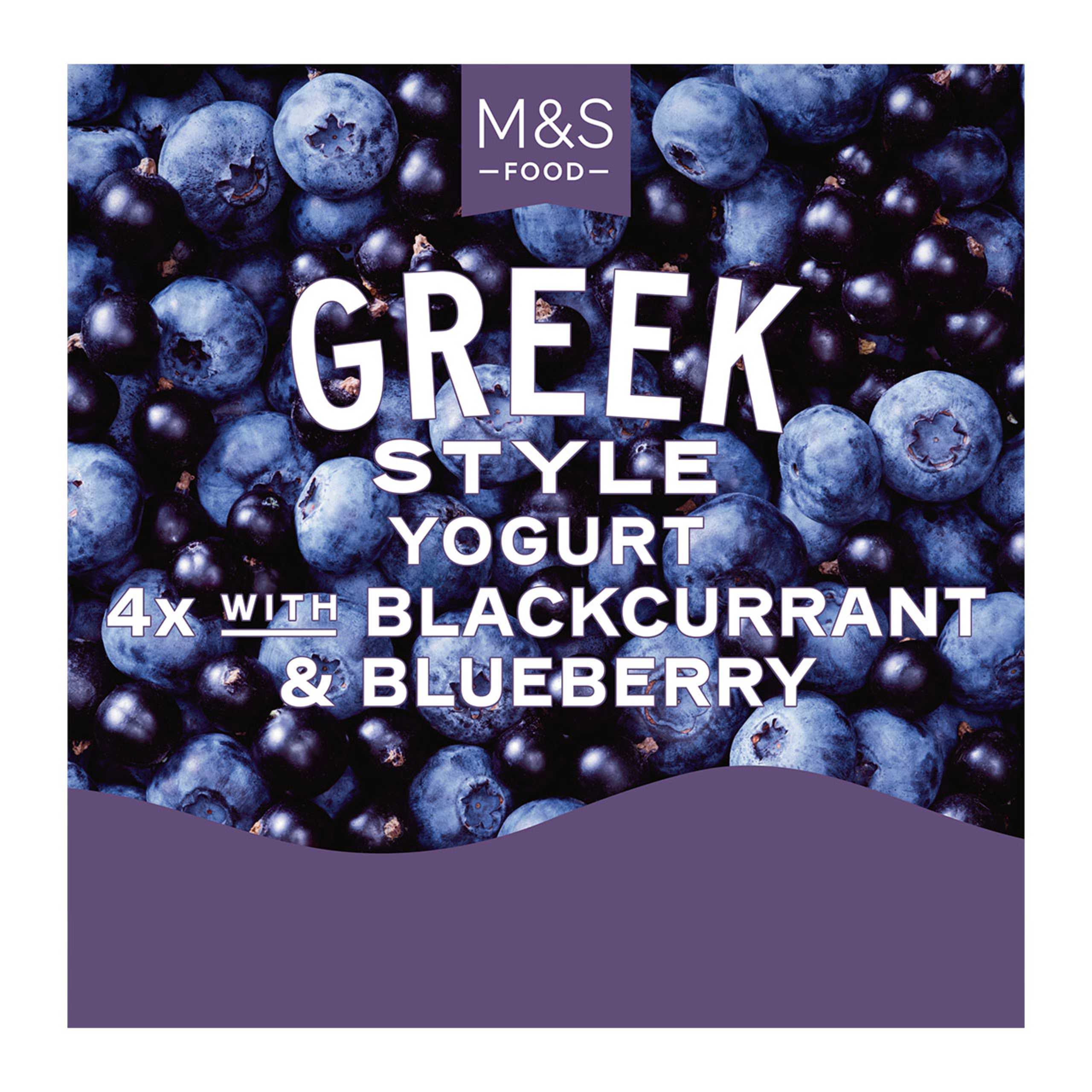 Greek Style Yogurt with Blackcurrant and Blueberry 1 of 1