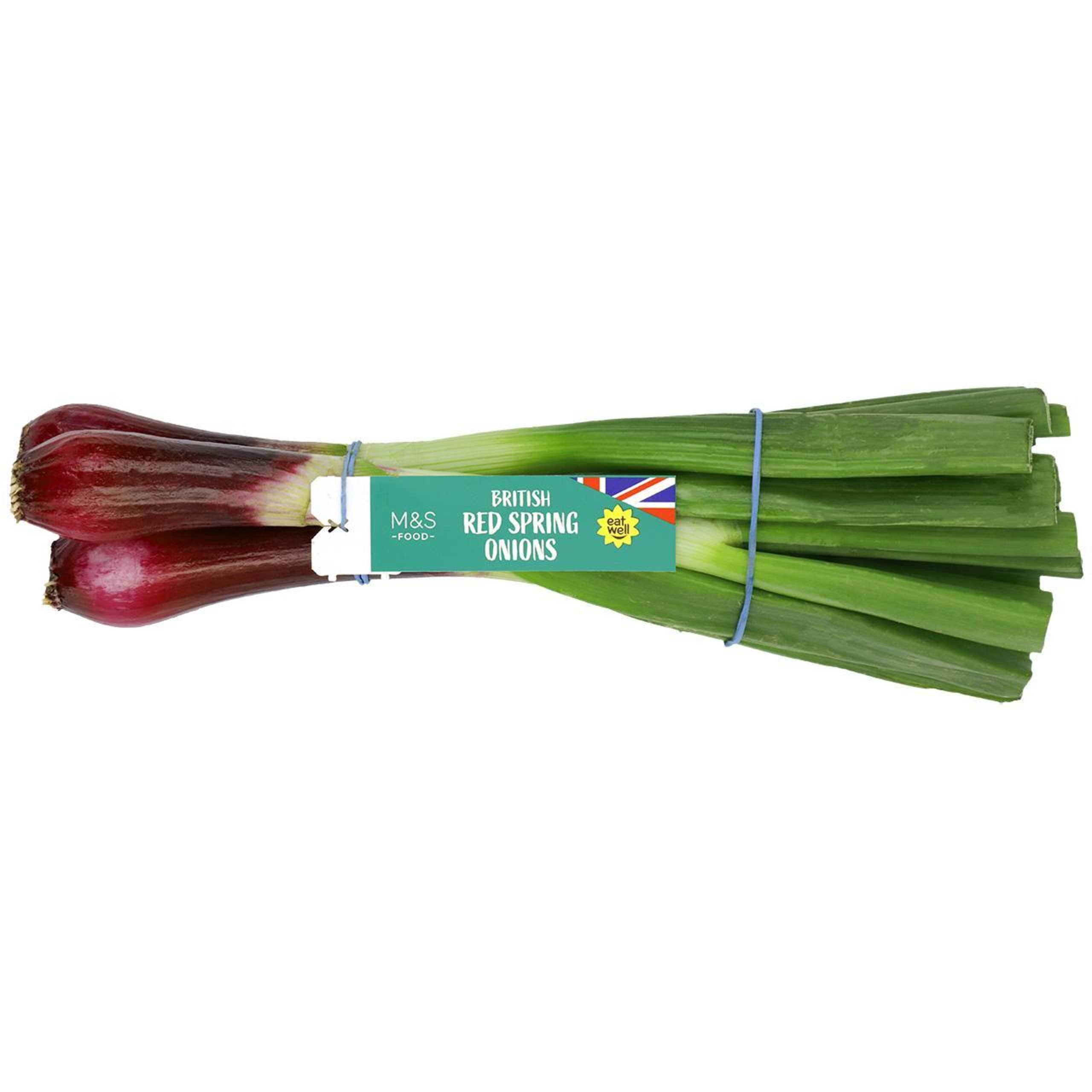 Red Spring Onions 1 of 1