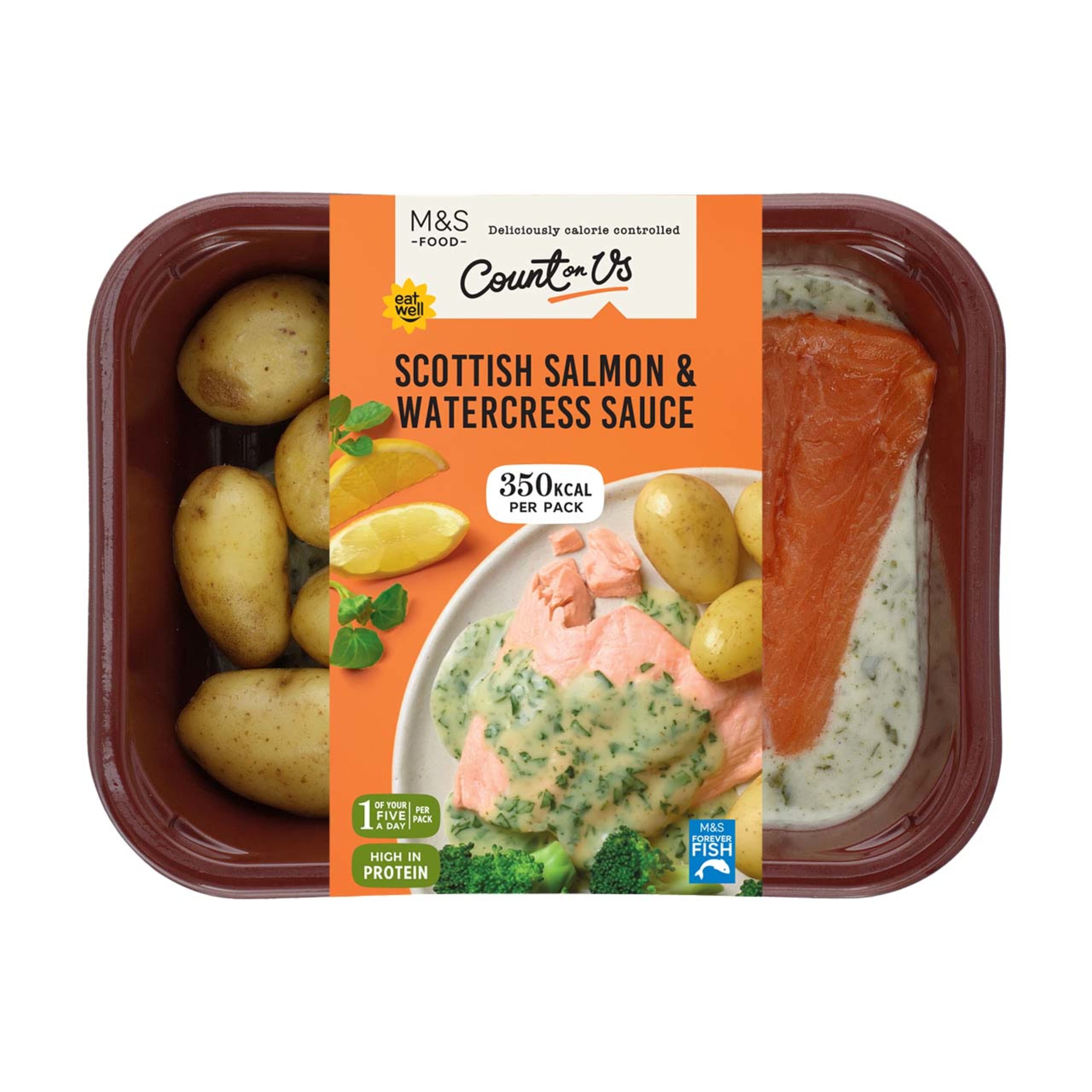 Count on Us Scottish Salmon and Watercress Sauce 1 of 1