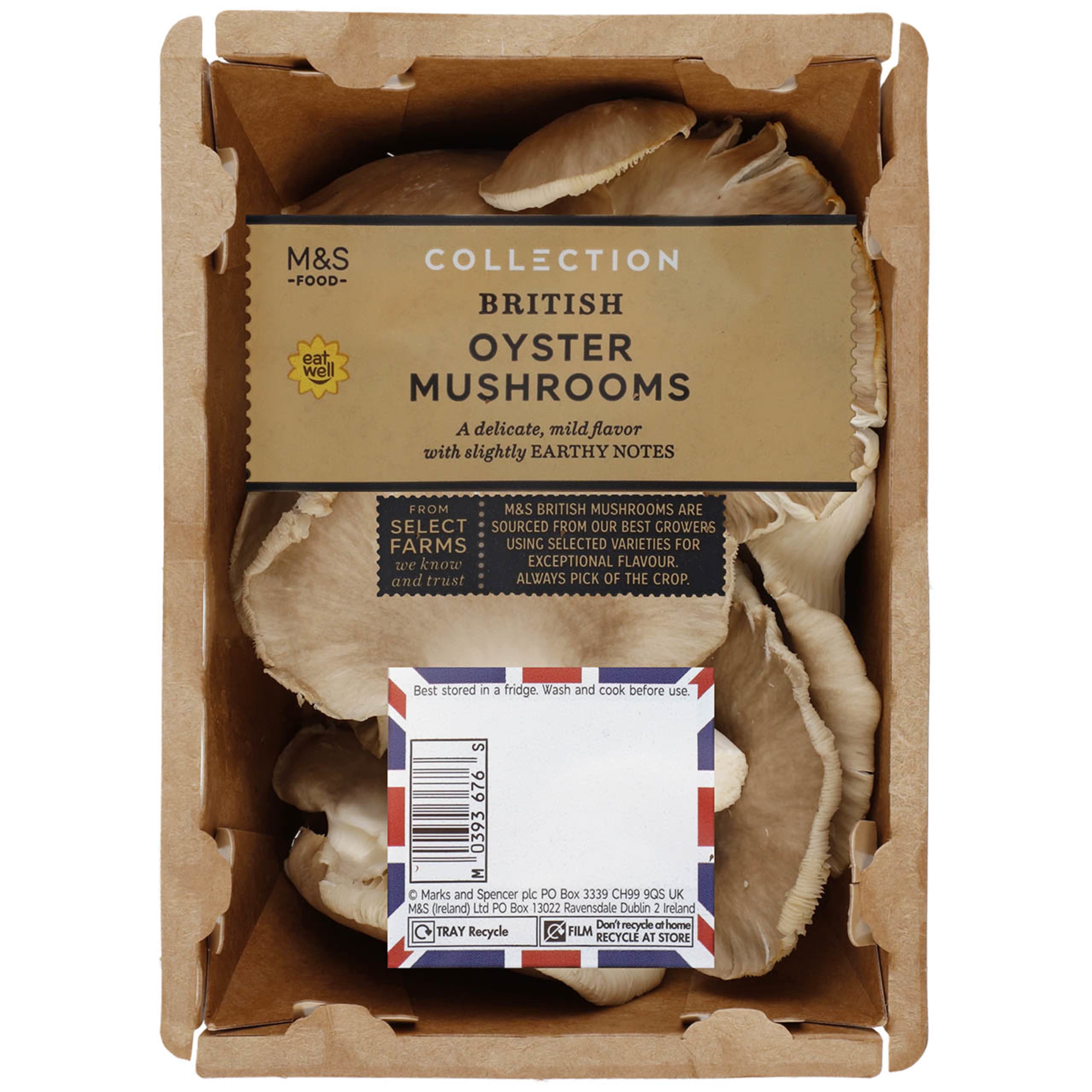 British Oyster Mushrooms 1 of 1