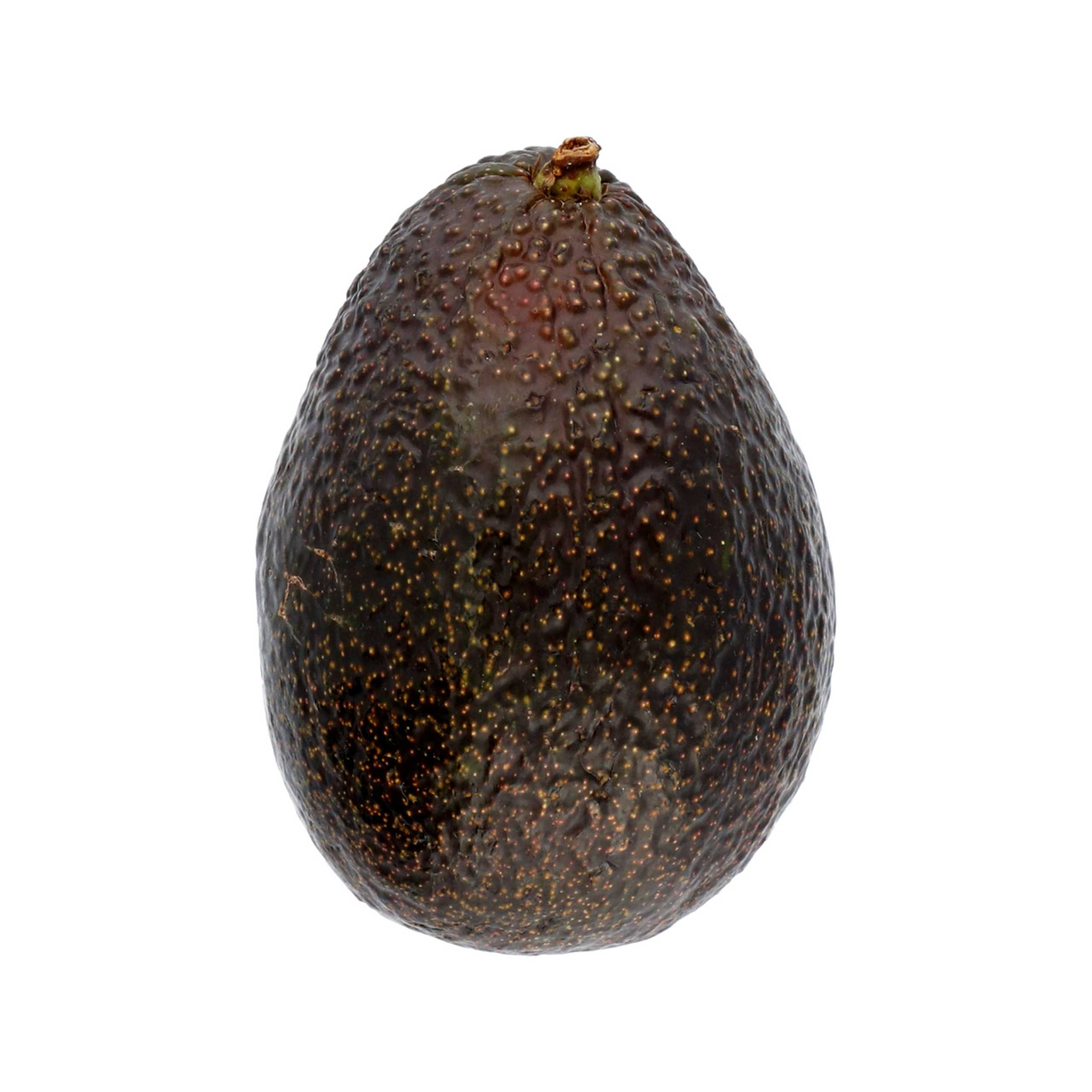 Perfectly Ripe Giant Avocado 1 of 1