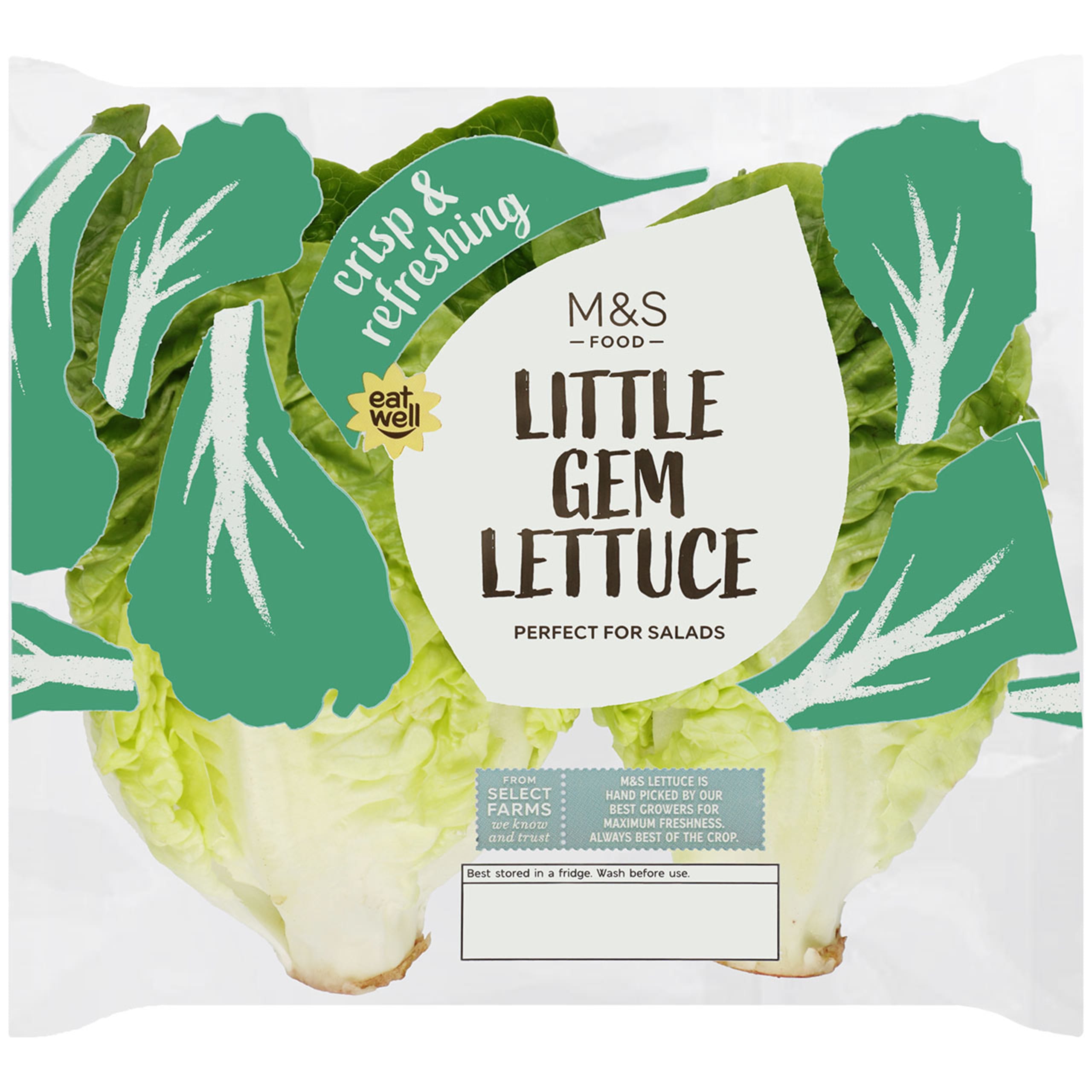 Little Gem Lettuce 1 of 1