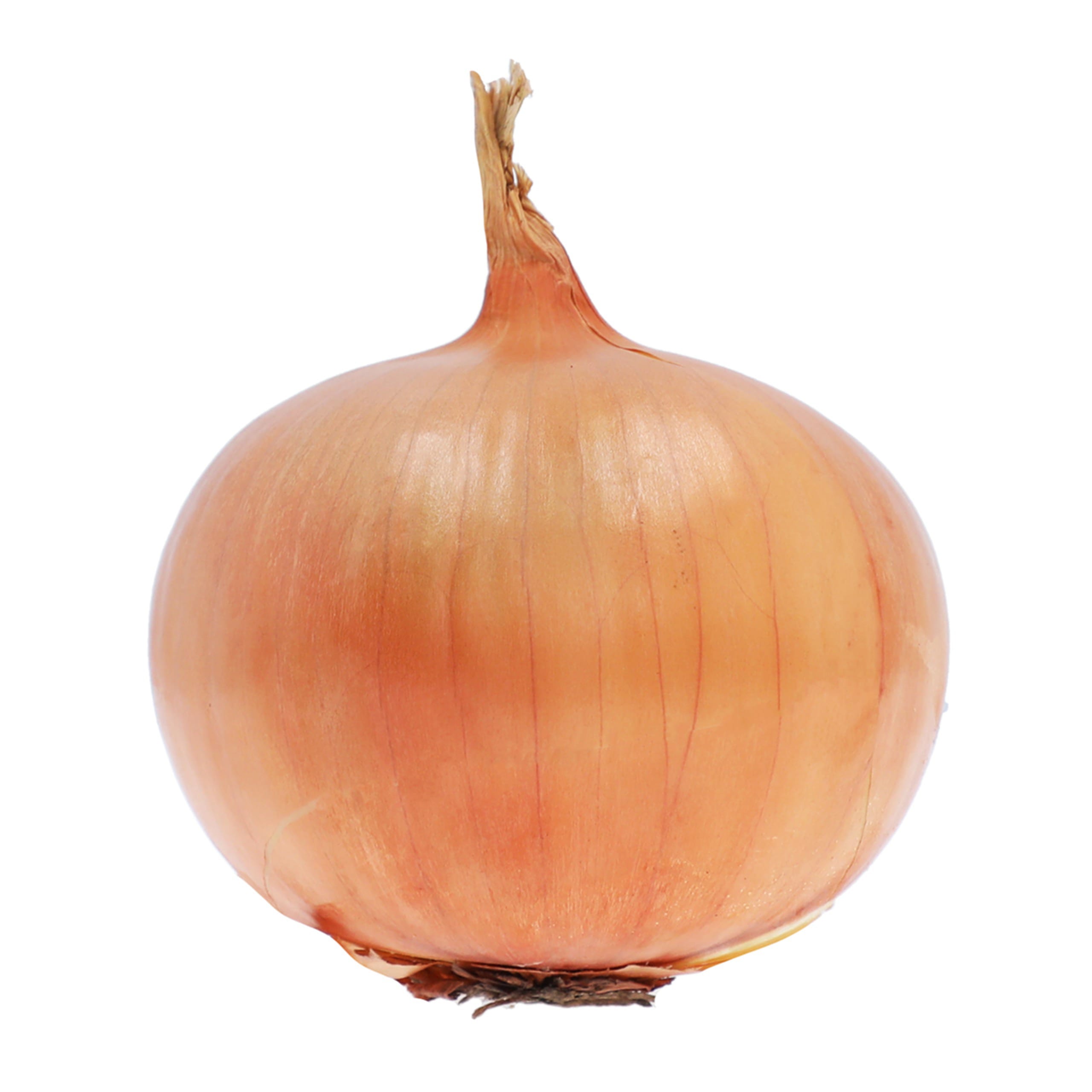Brown Onions 1 of 1