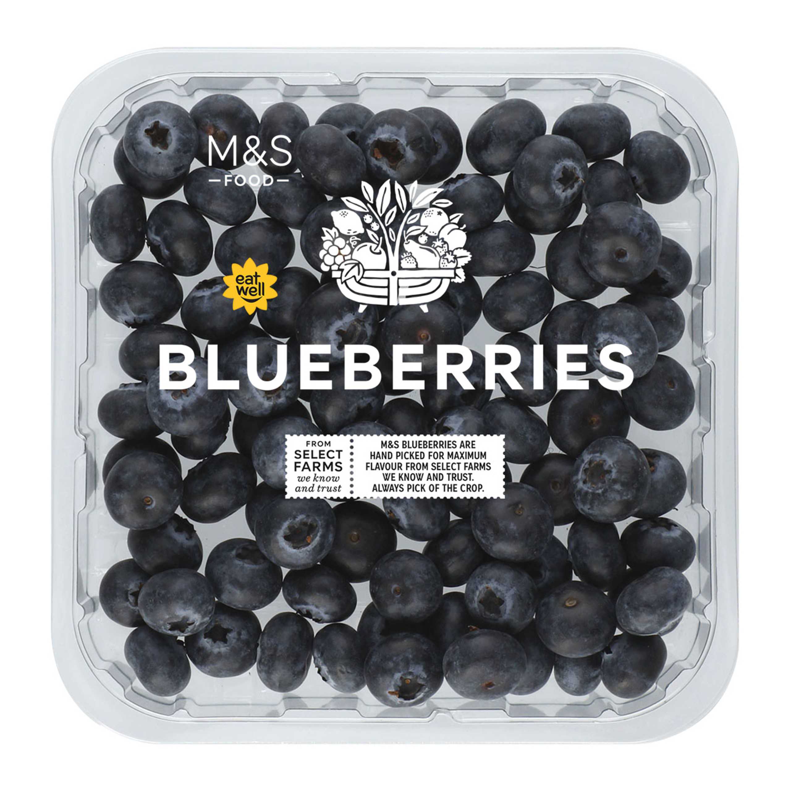 Blueberries 1 of 4