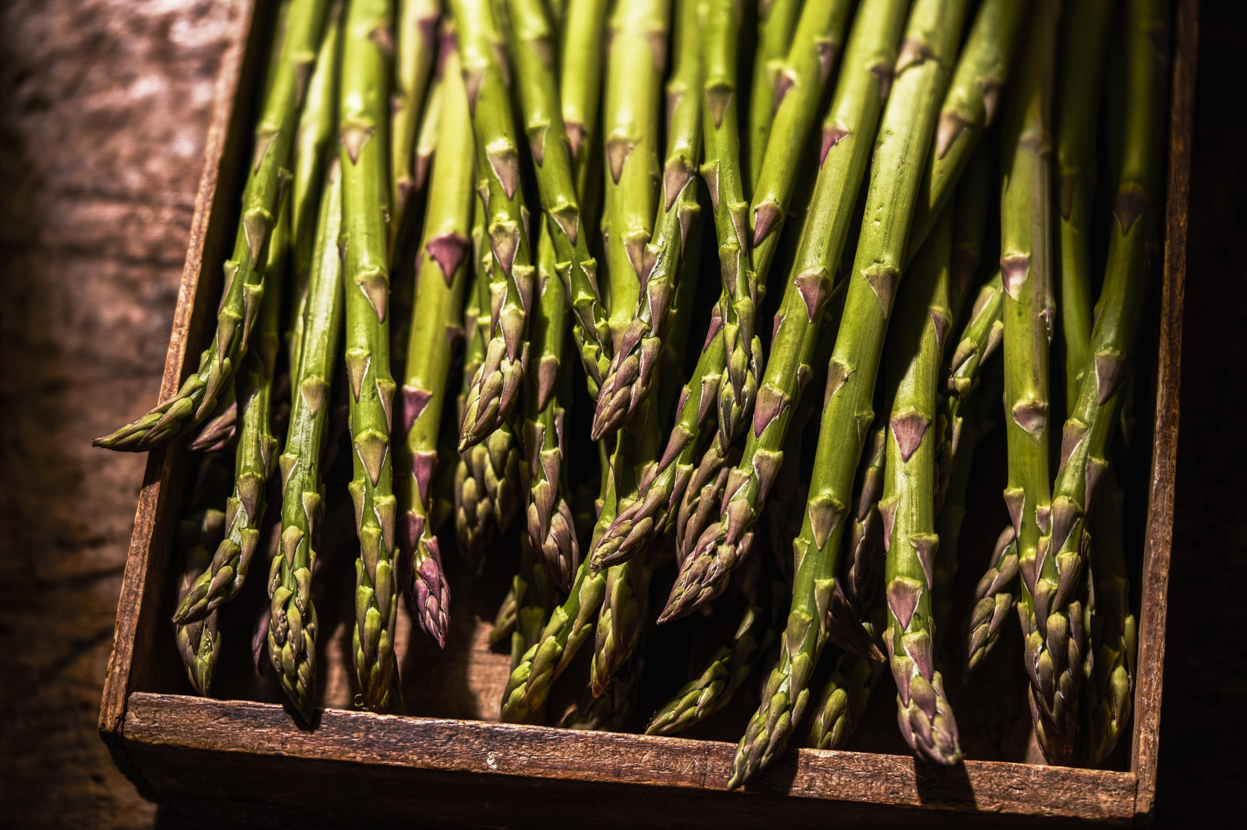 Asparagus Bundle 2 of 4