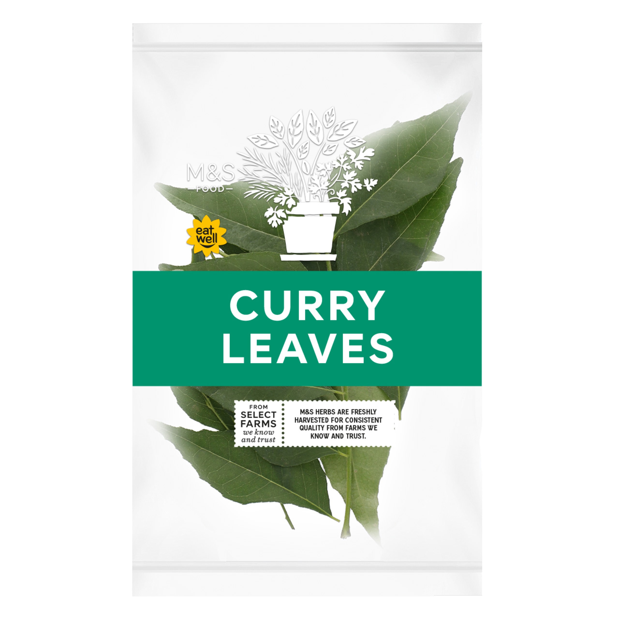 Curry Leaves 1 of 1