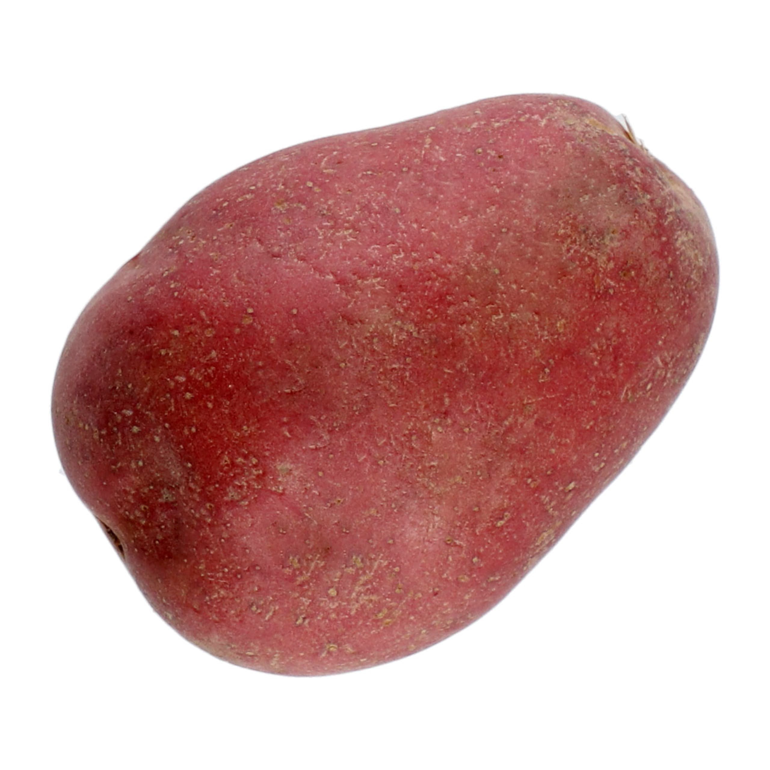 Loose Desire Potatoes 1 of 1