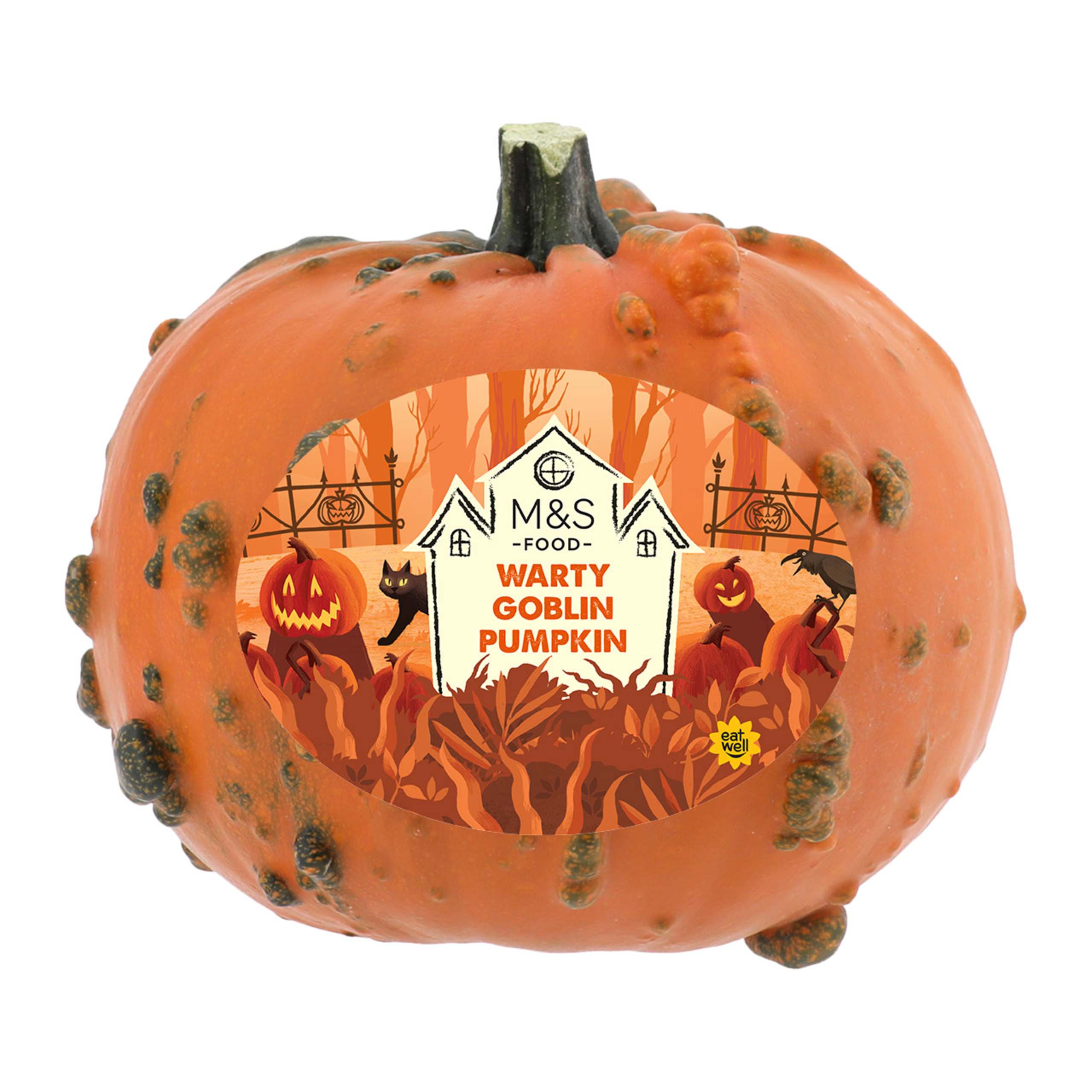 Warty Goblin Pumpkin 1 of 1