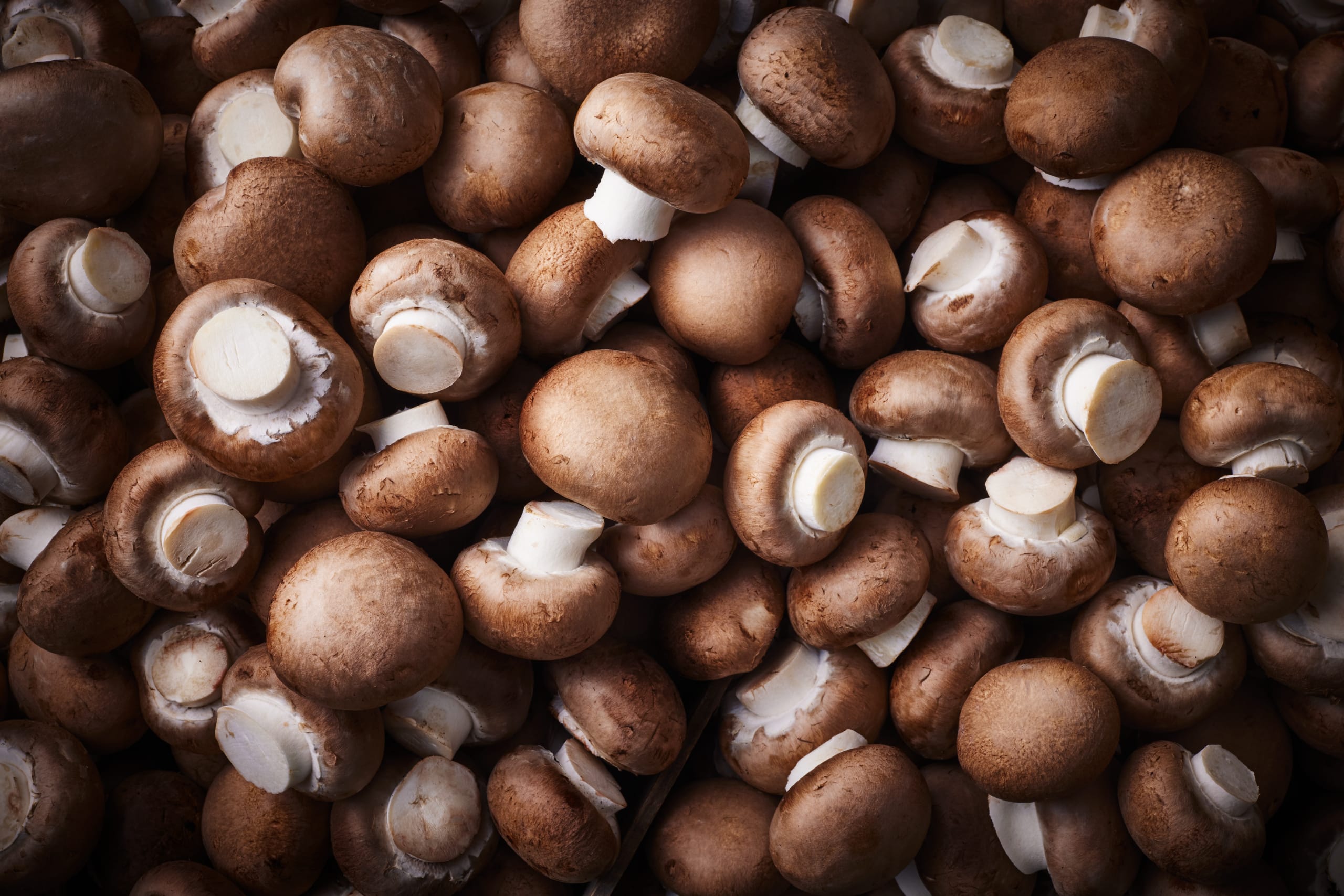 British Chestnut Mushrooms 4 of 4