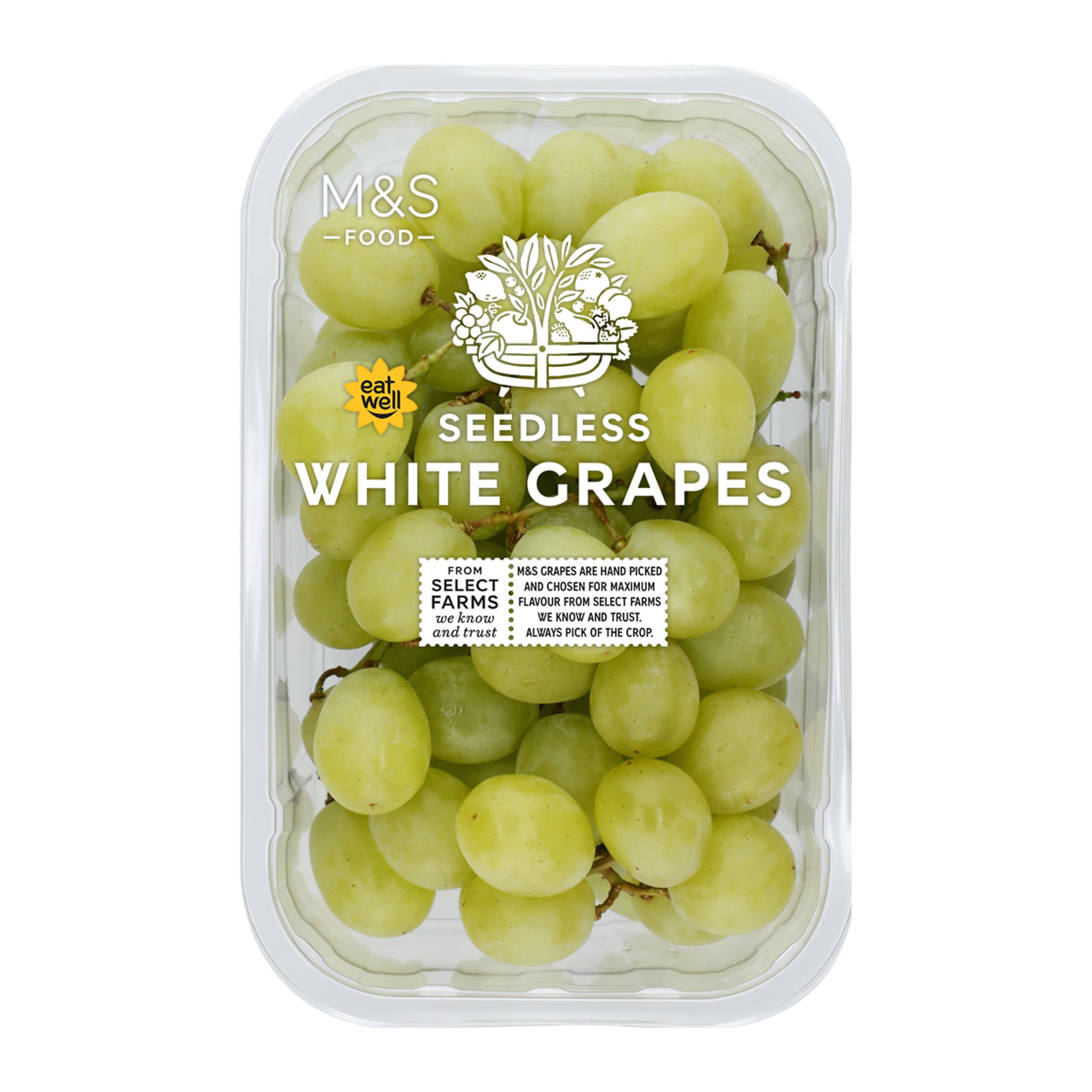 Seedless White Grapes 1 of 3