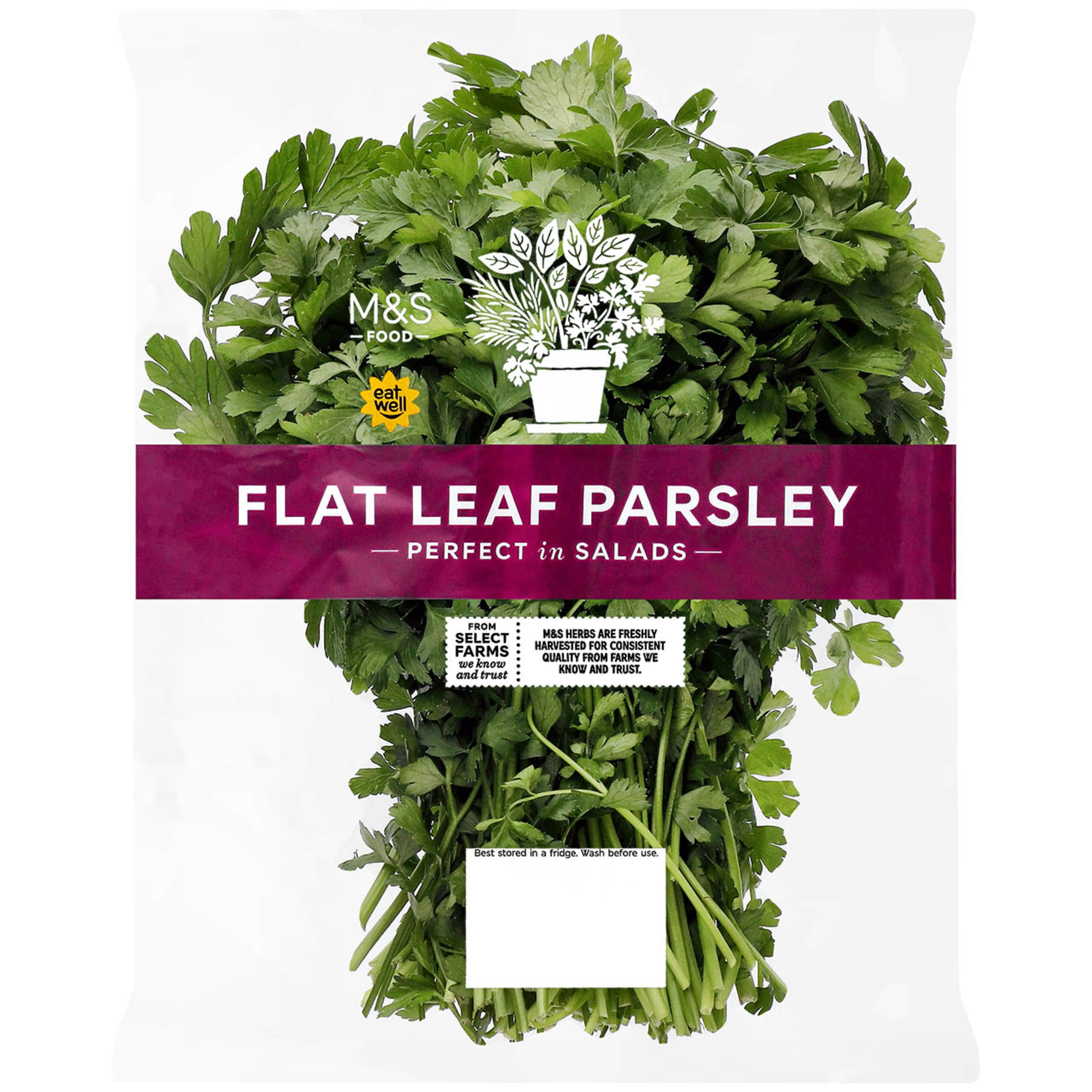 Flat Leaf Parsley 1 of 1