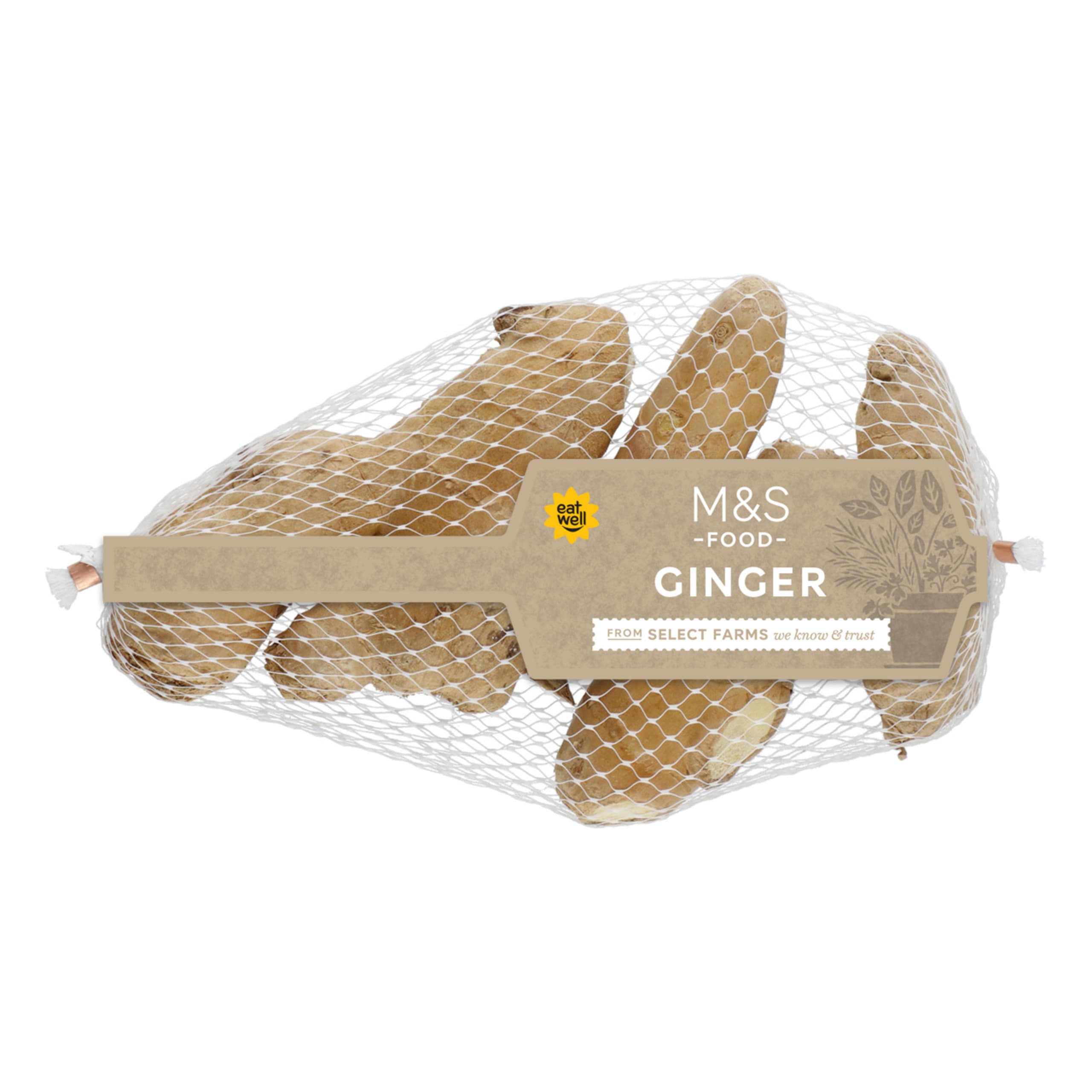 Ginger 1 of 1