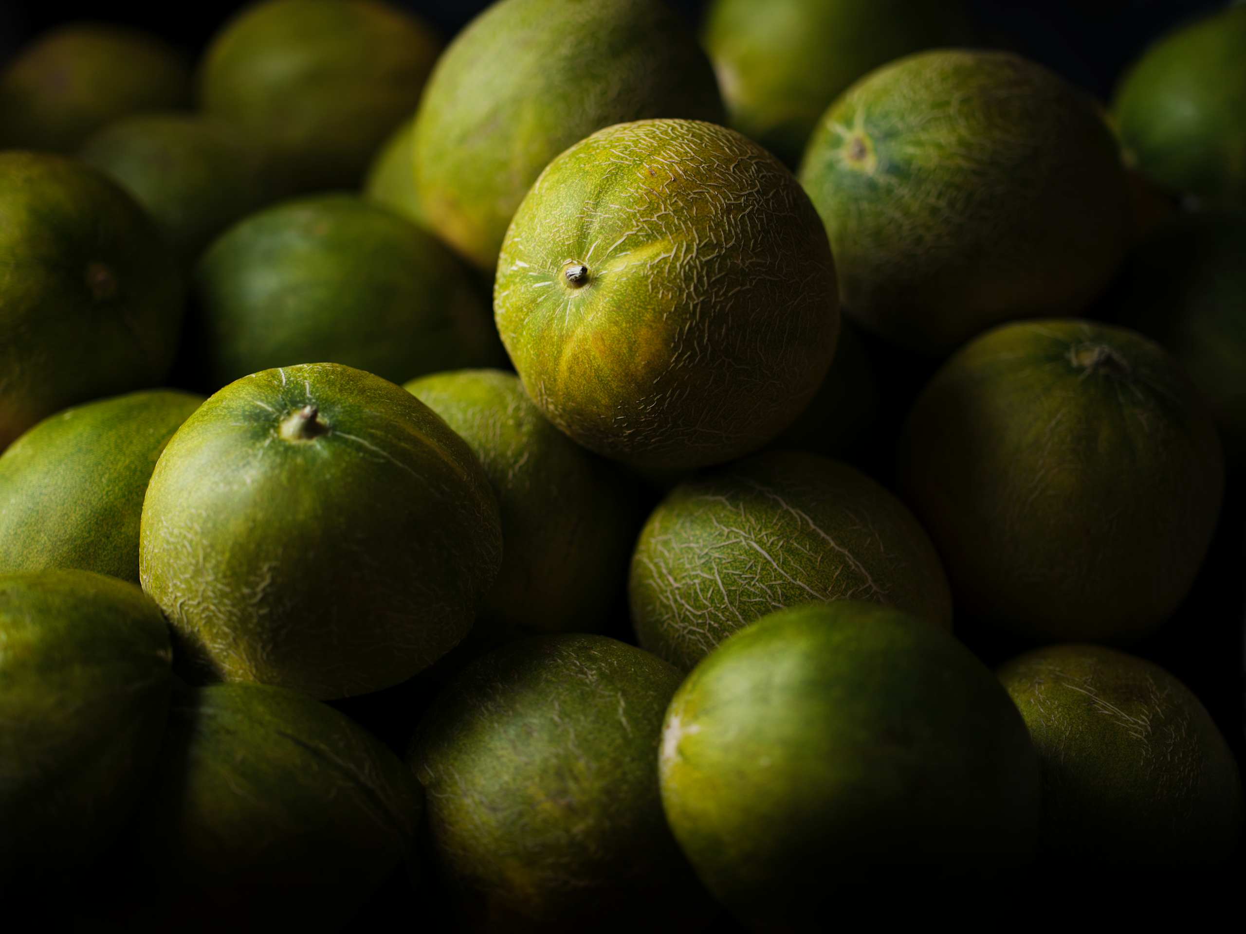Limelon 3 of 3