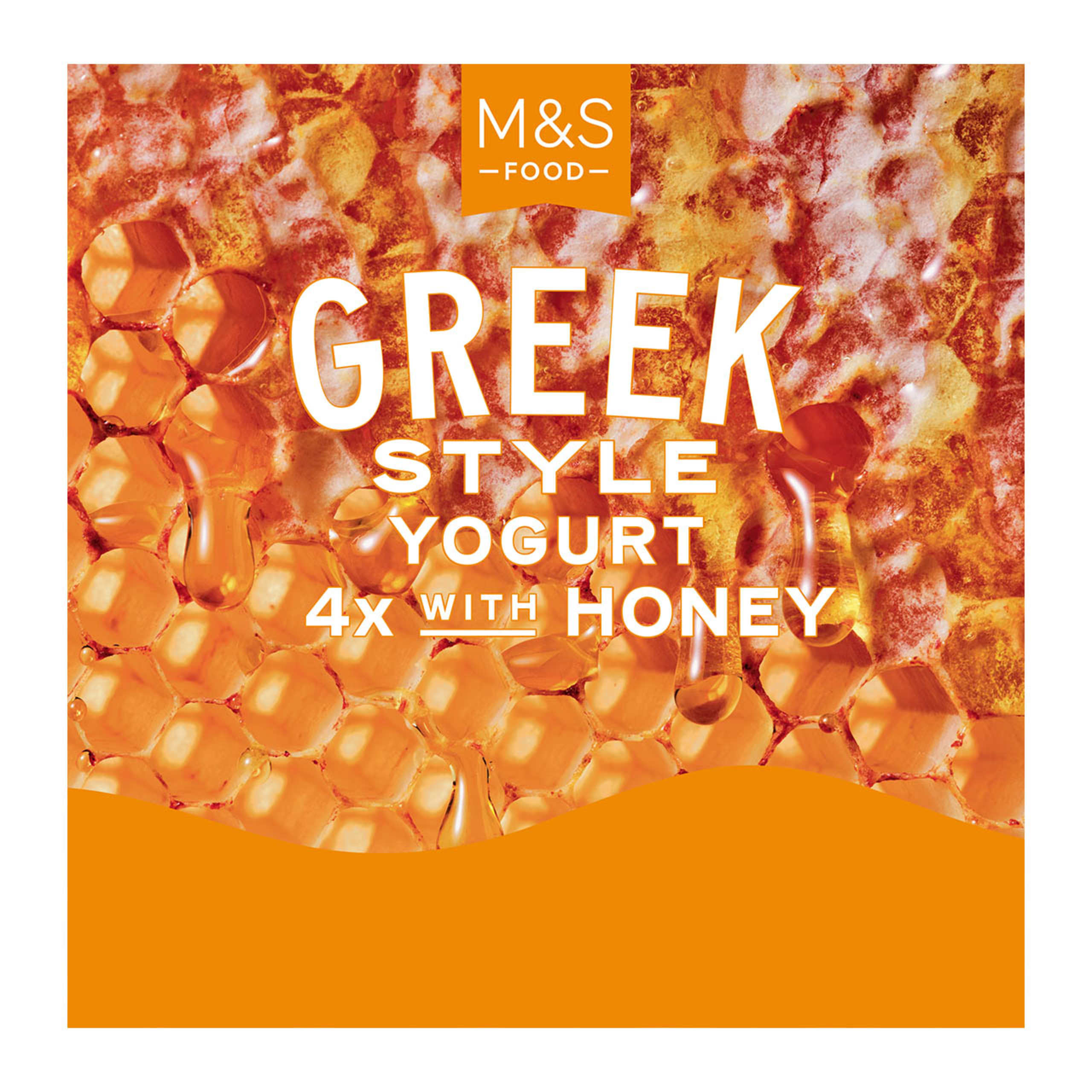 Greek Style yogurt with Honey 1 of 1