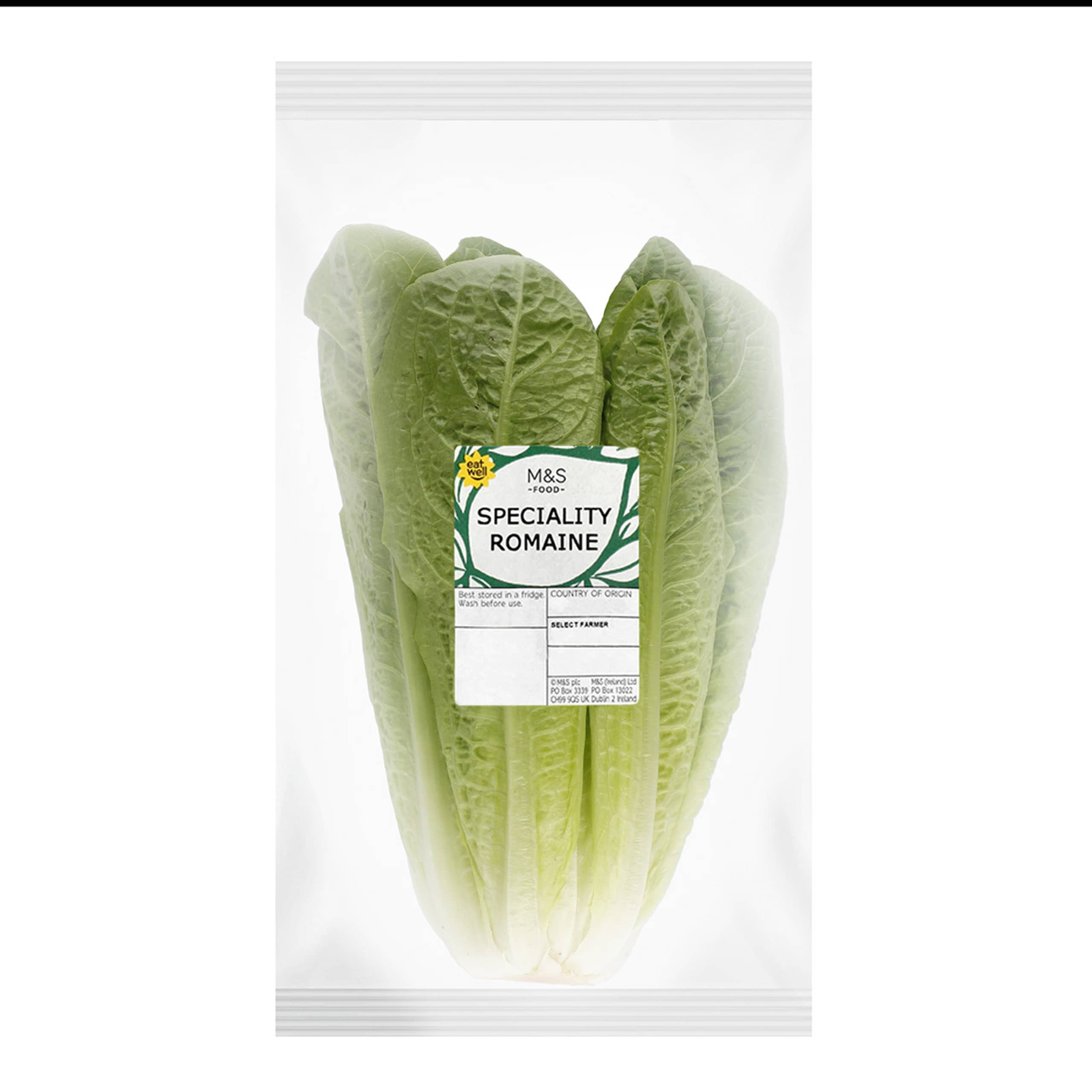 Speciality Romaine 1 of 1