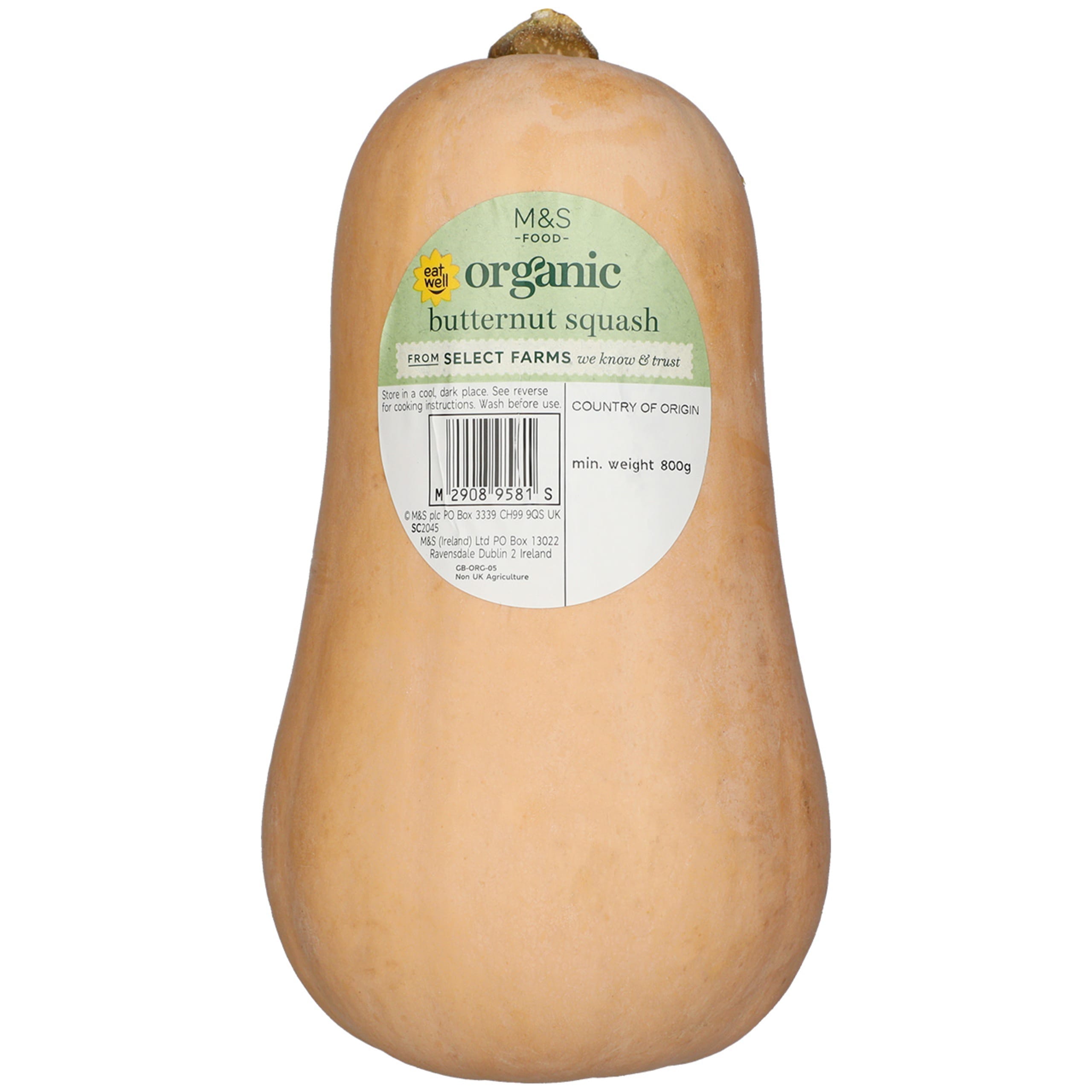 Organic Butternut Squash 1 of 1