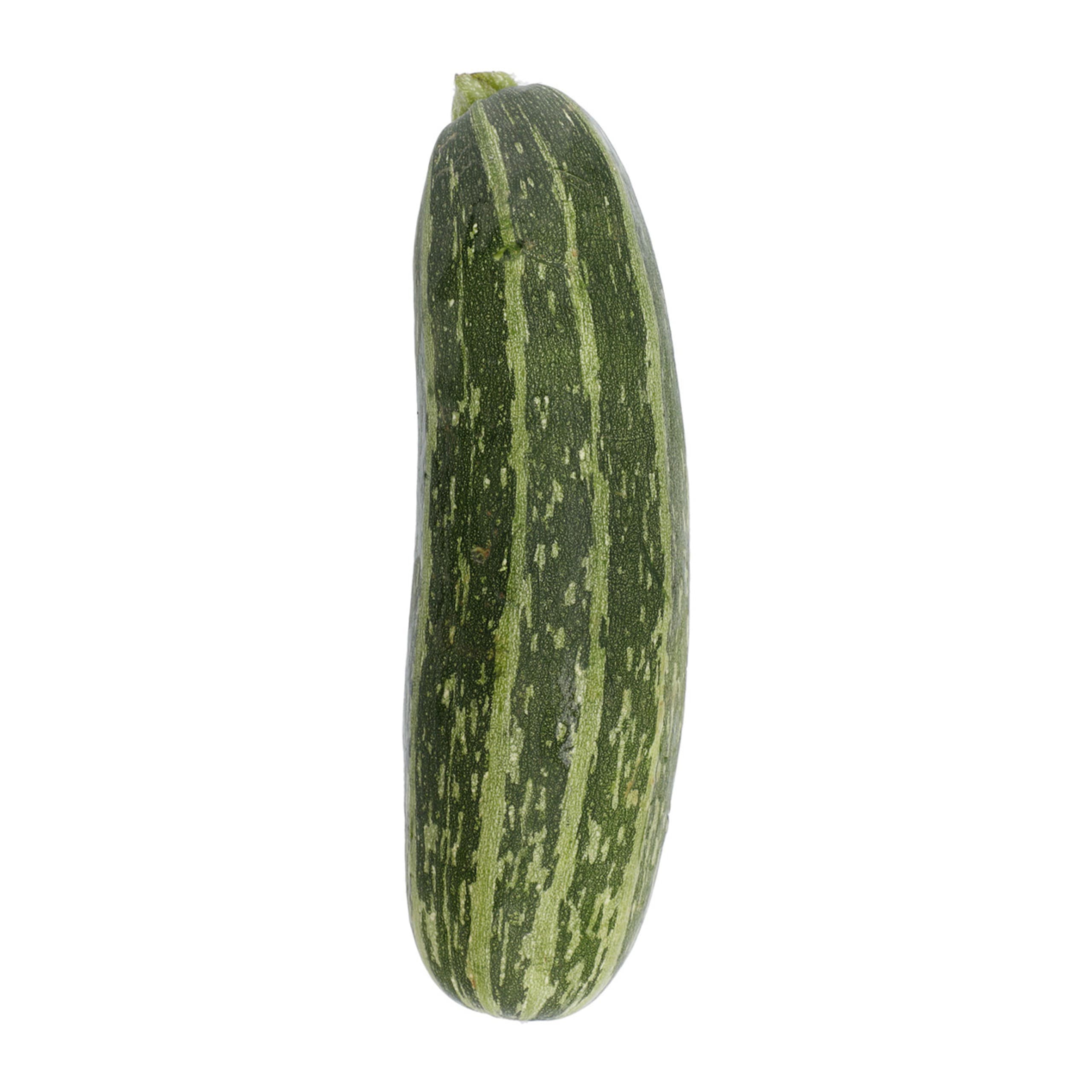 Marrow 1 of 1