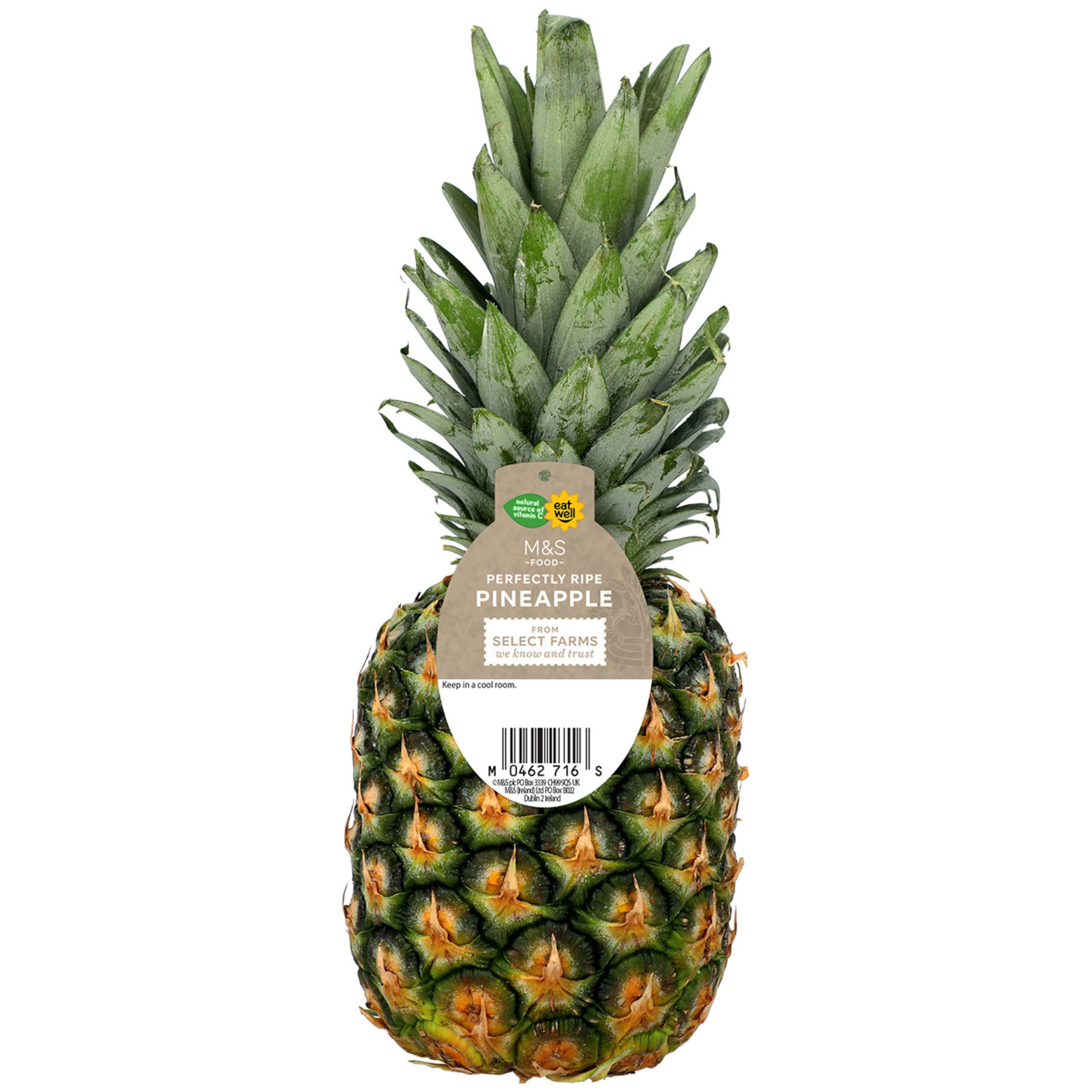 Perfectly Ripe Pineapple 1 of 4