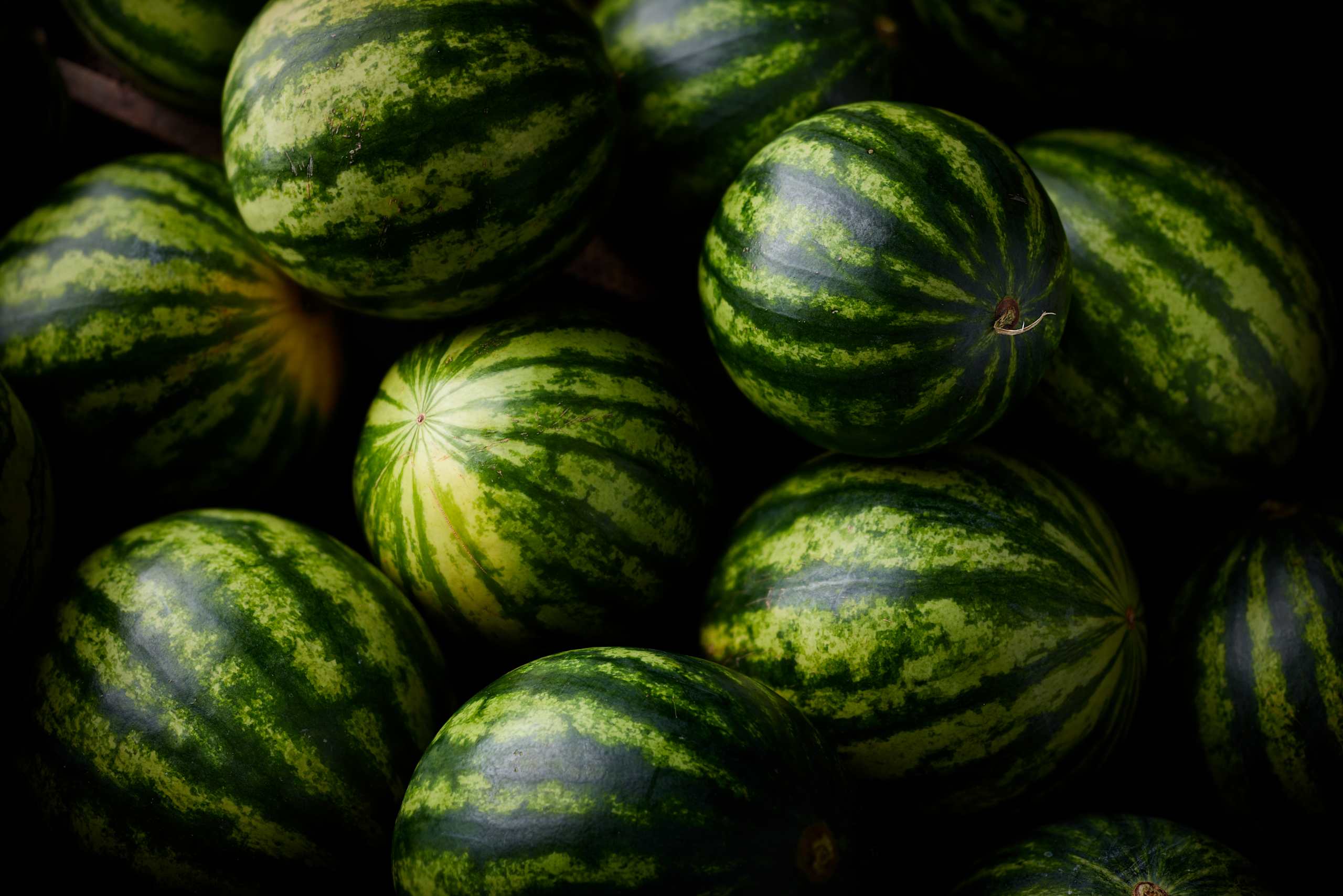 Watermelon 4 of 4