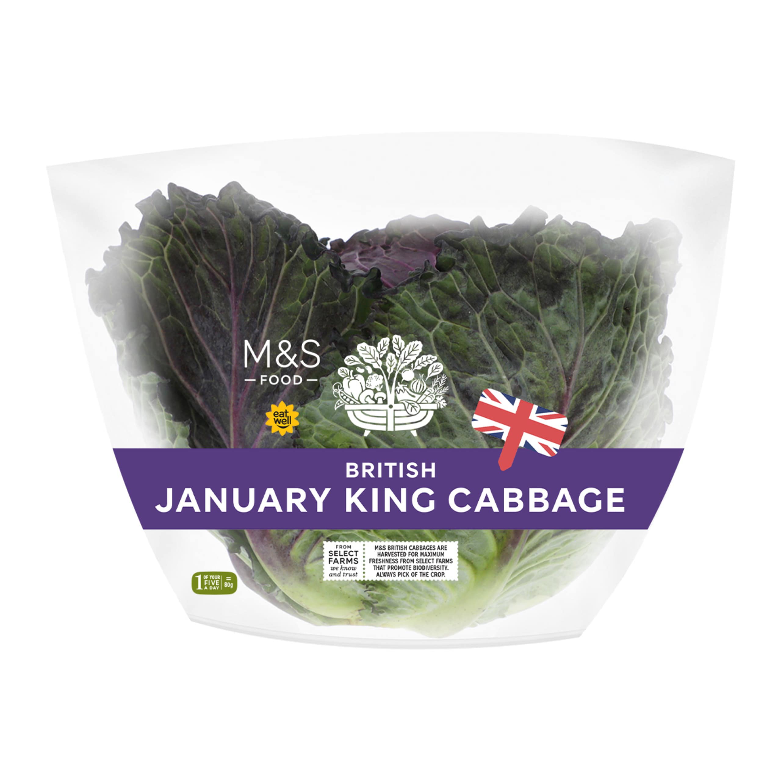 January King Cabbage 1 of 1