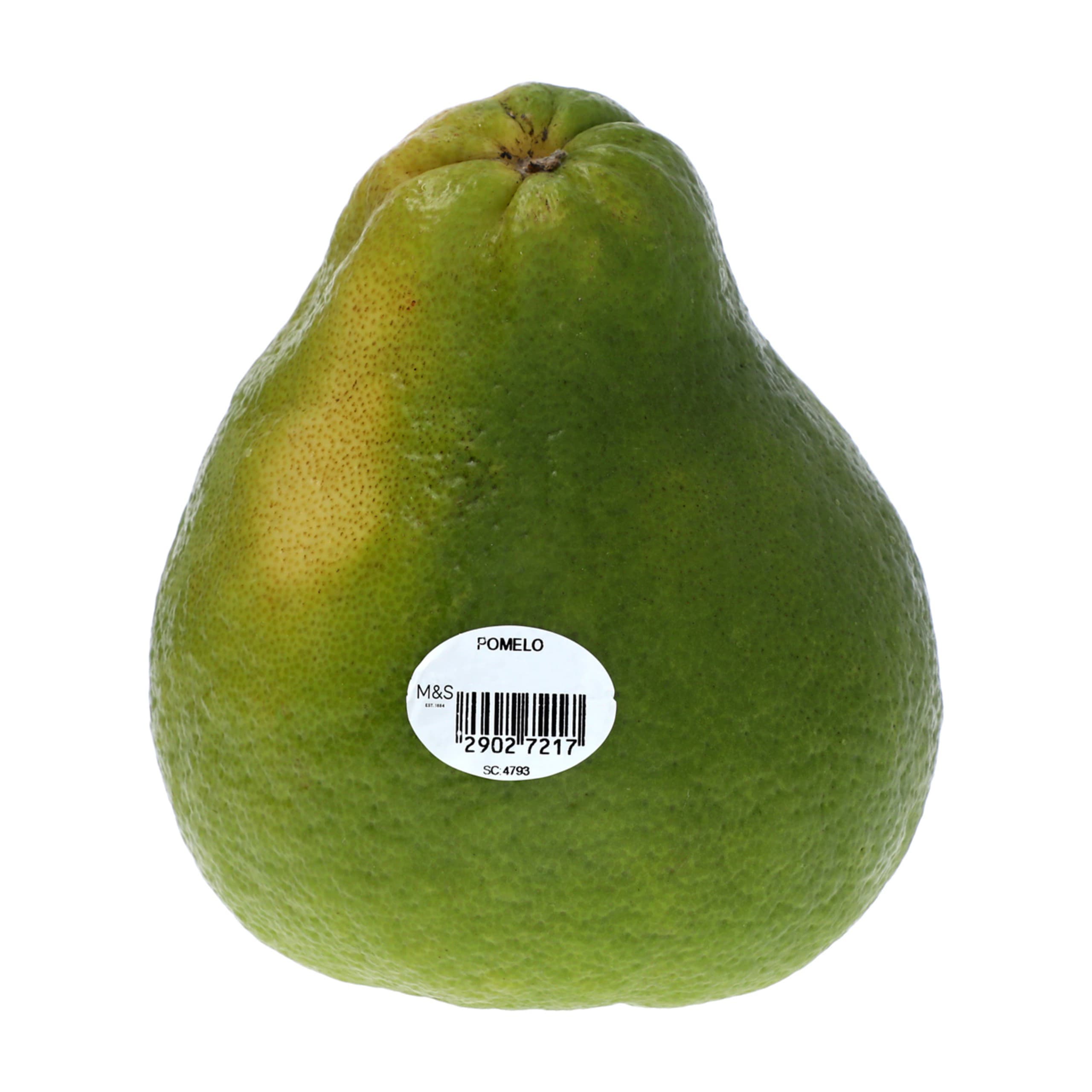 Pomelo 1 of 1