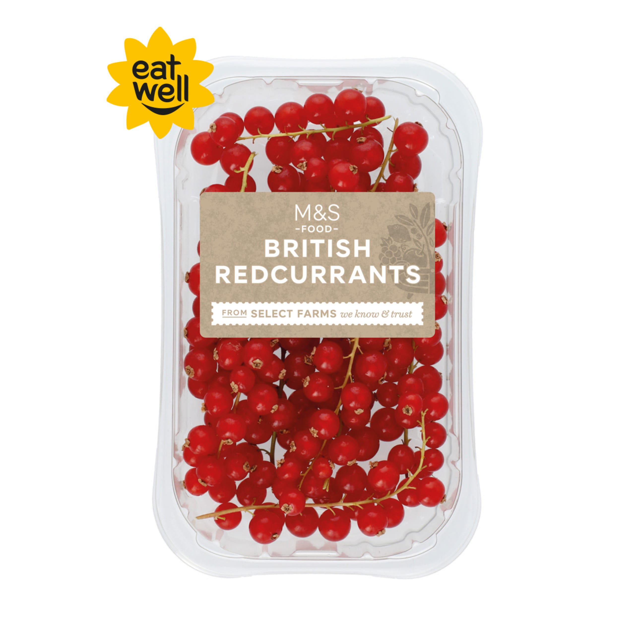 British Redcurrants 1 of 1